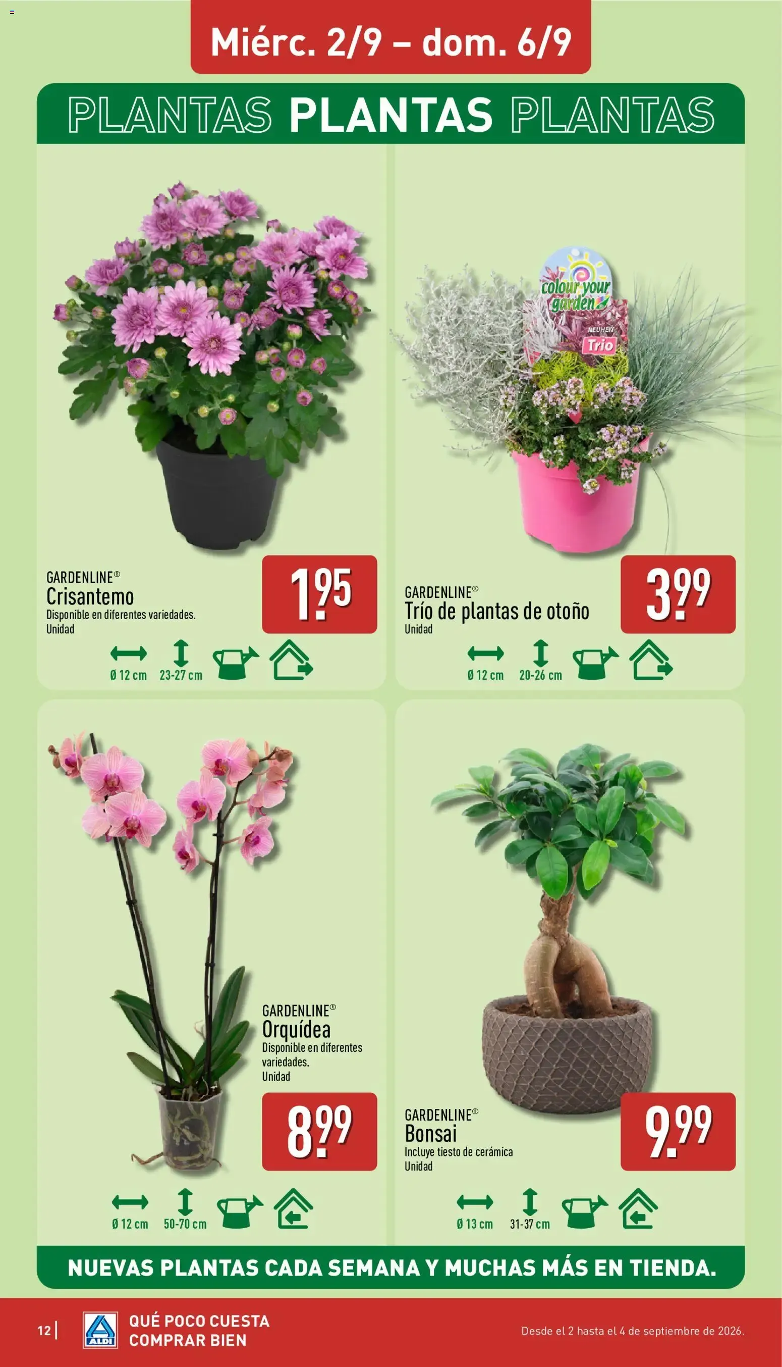 Catálogo de Aldi folleto Baleares del 31/08/2026 | Catálogo 31 de agosto al 6 de septiembre 2026 - Página 12