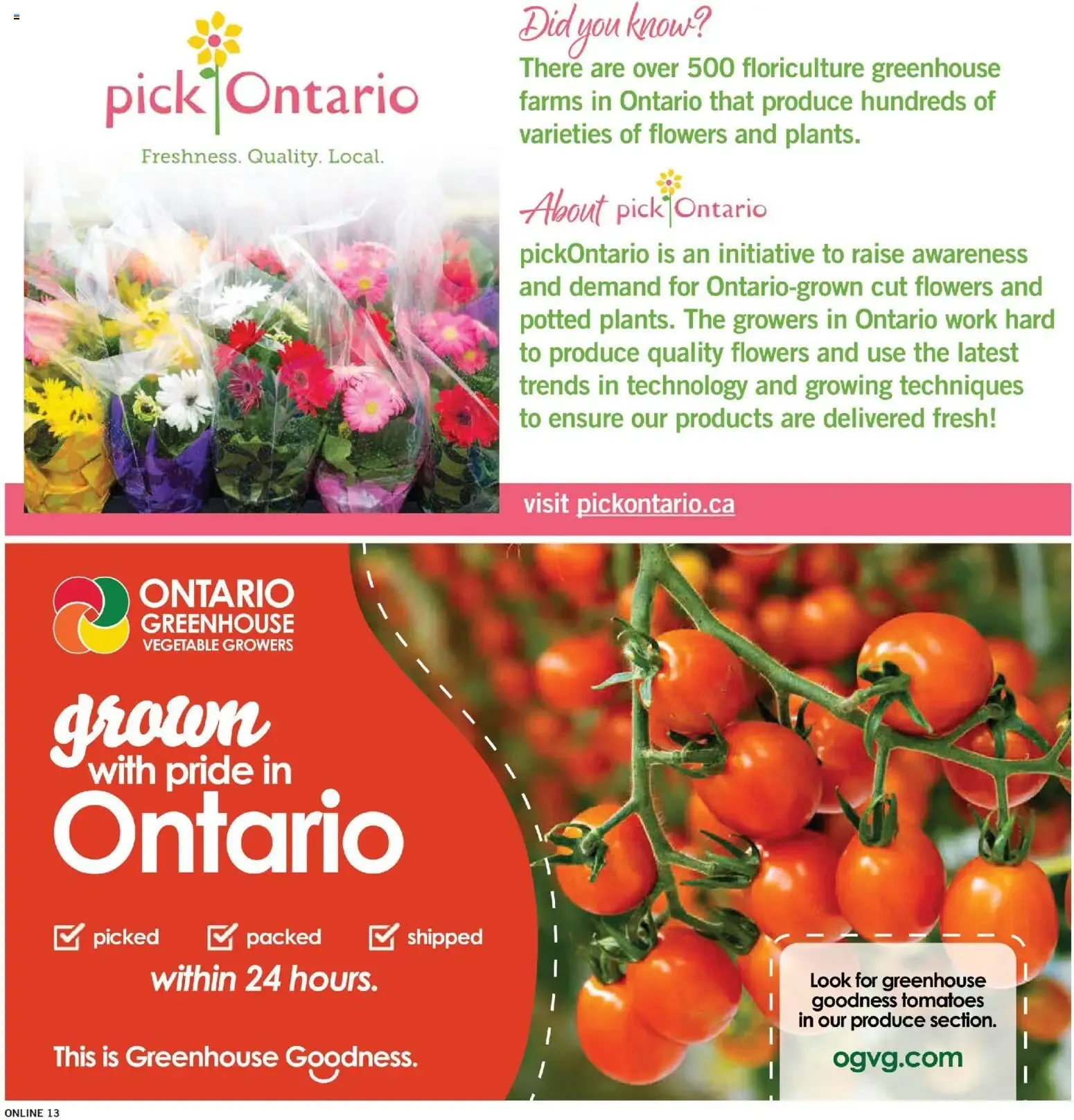 Fortinos weekly flyer from August 20 to August 26 2026 - flyer page 13