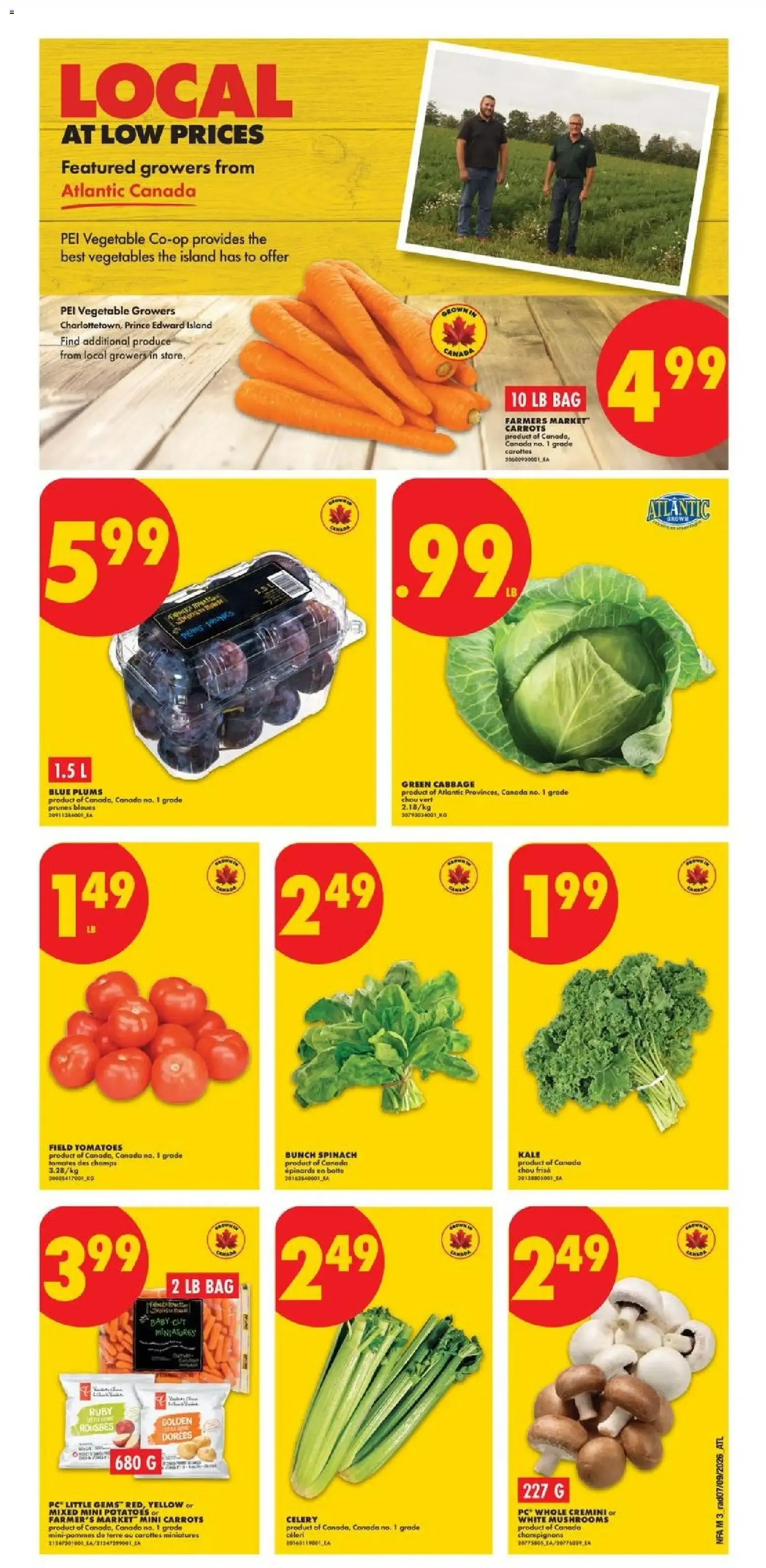 No Frills weekly flyer - NS from Sep 10, 2026 > weekly specials & deals from September 10 to September 16 2026 - flyer page 3