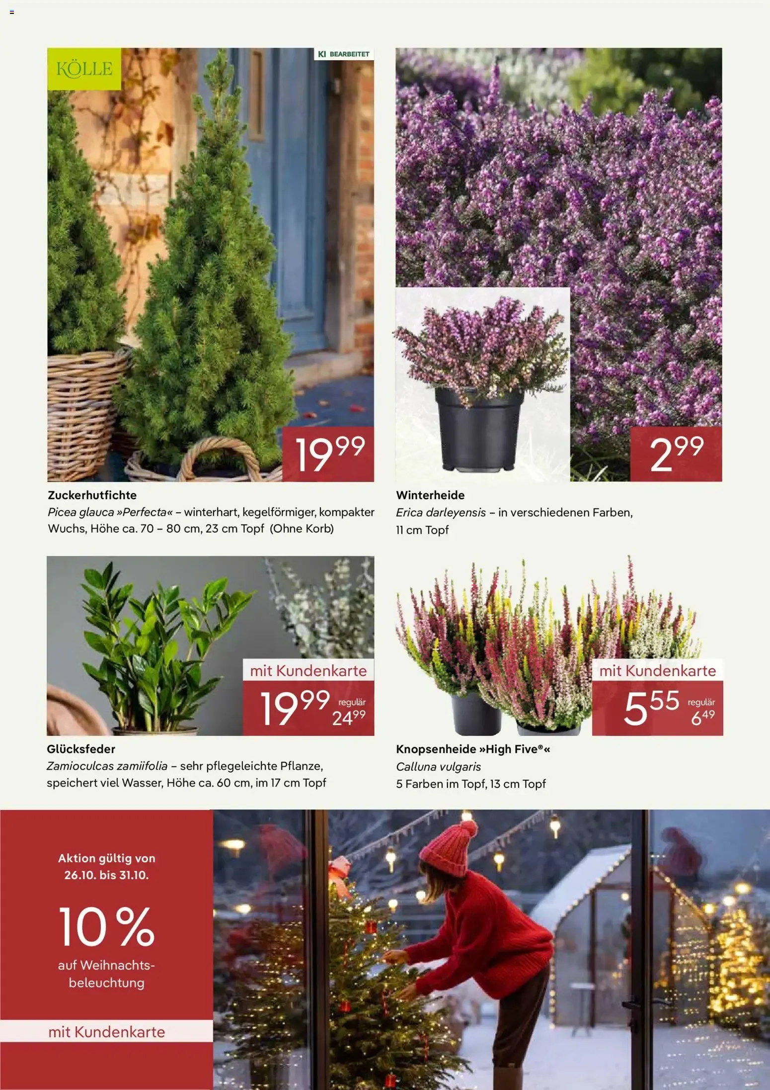 Unsere starken Dauerpreise von 1. Oktober bis 31. Oktober 2026 - Prospekt seite 3
