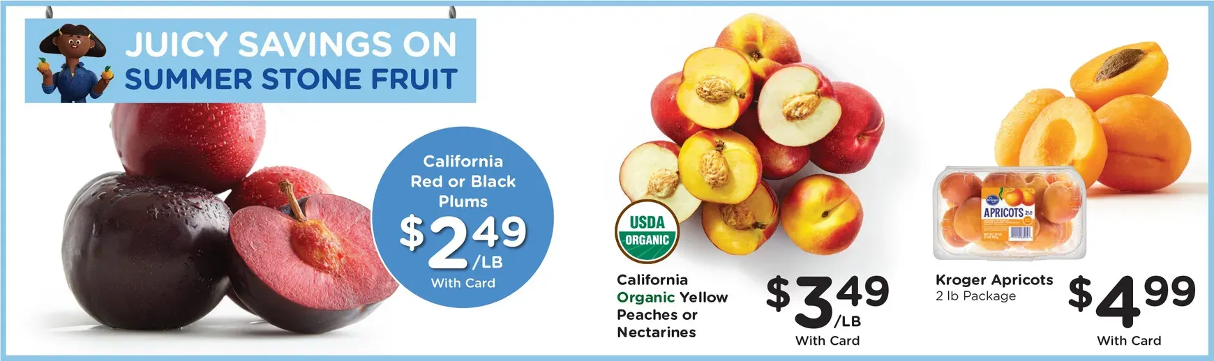 Weekly ad Pick'n Save Metro Market: Fresh Finds for Summertime & Weekly Digital Deals from June 10 to June 16 2026 - Page 10