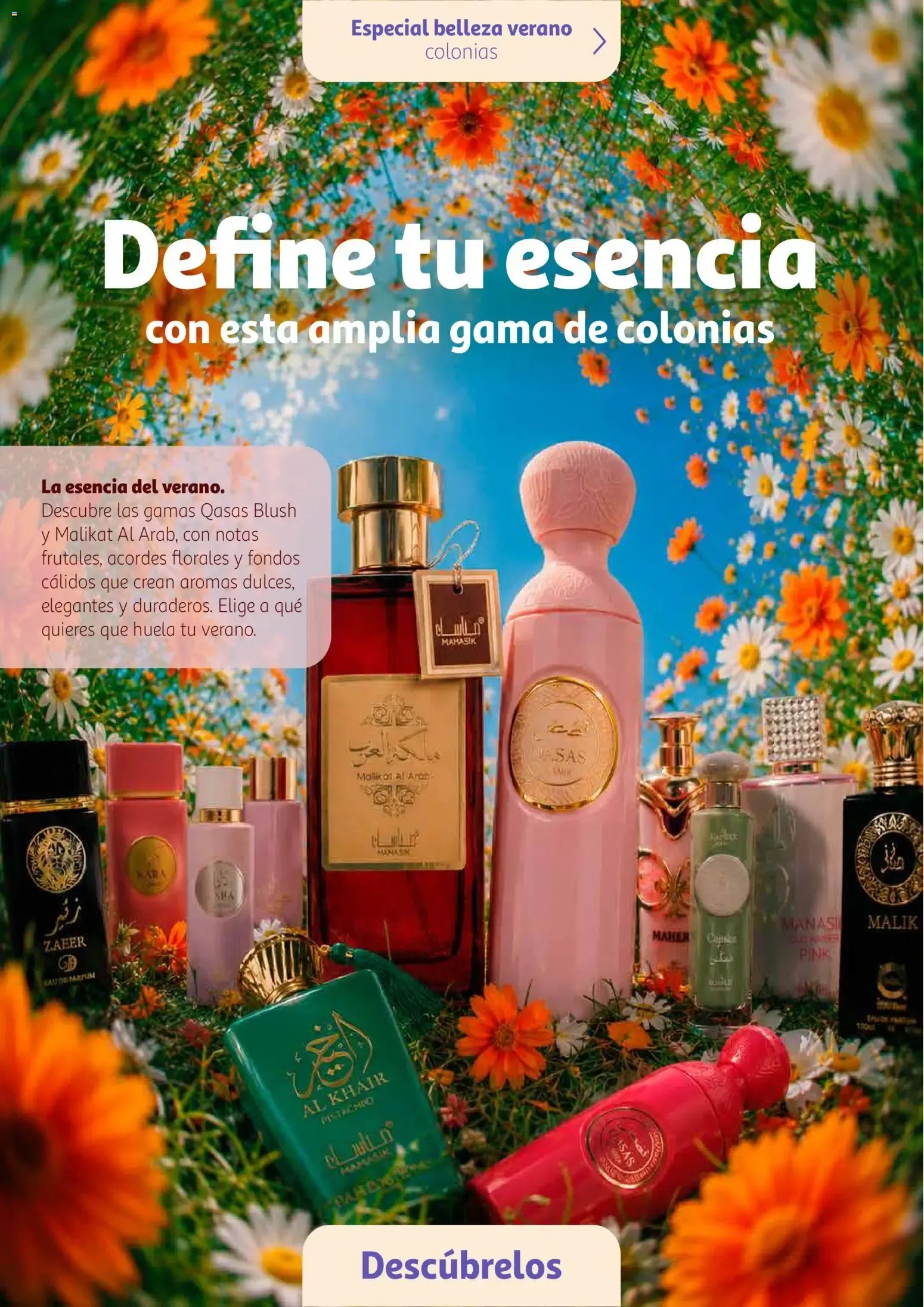Catálogo de Alcampo folleto digital: Aquí se viene a Brillar con Cosmia 5 de mayo al 31 de diciembre 2026 - Página 14