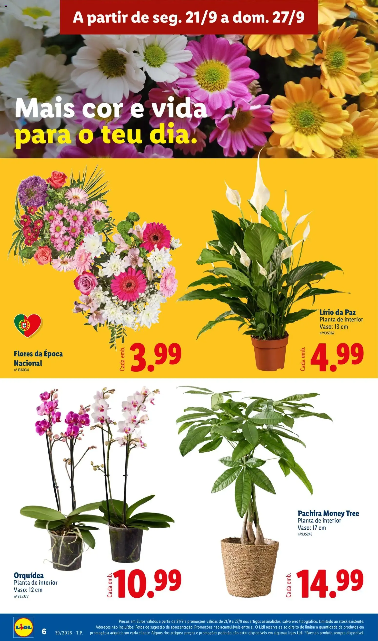 Folheto Concurso Casas LIDL de 21 de setembro até 18 de outubro 2026 - Pagina 8