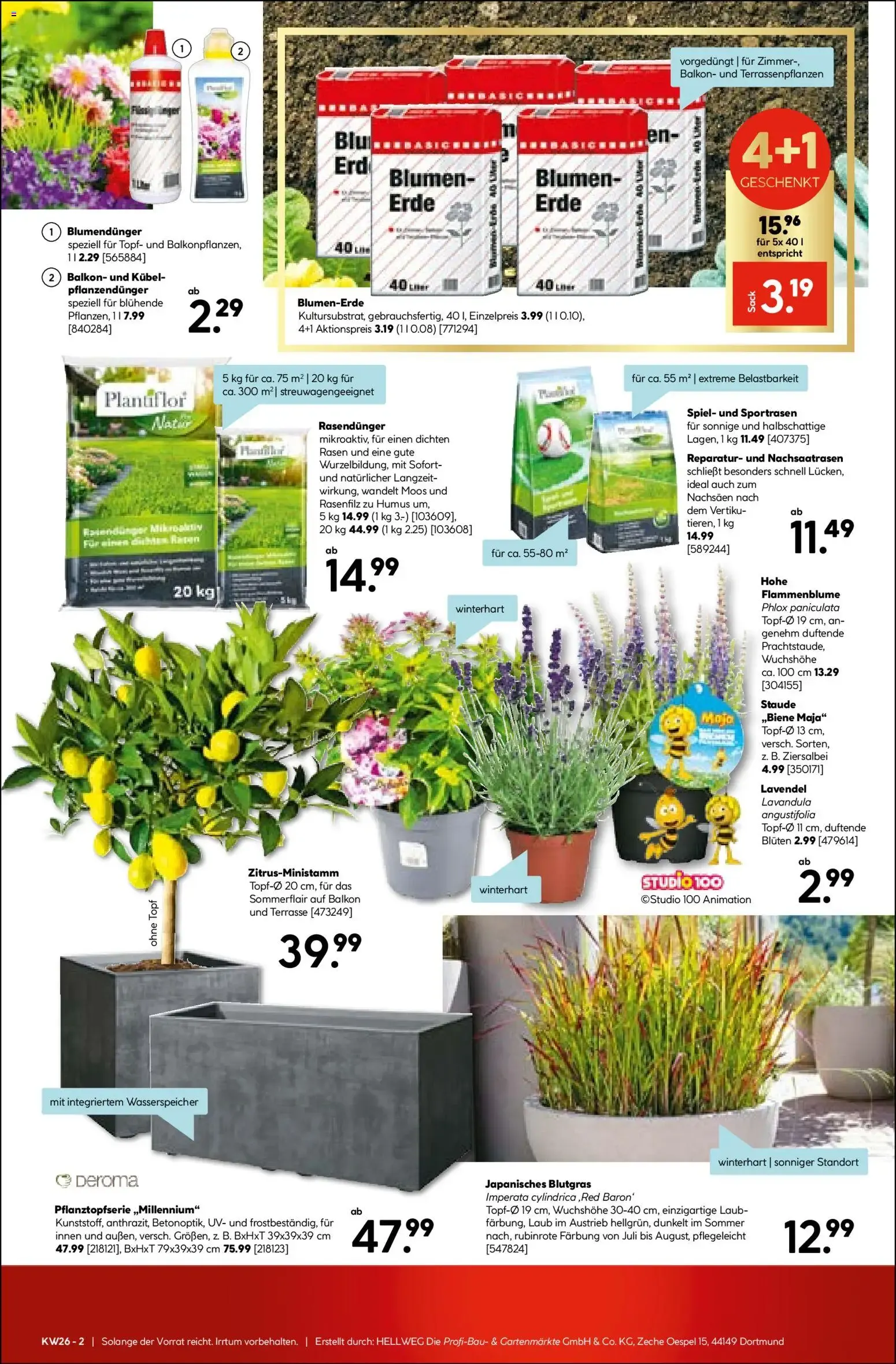Hellweg: Bauprojekt & Angebote zum 55. Jubiläum von 22. Juni bis 27. Juni 2026 - Prospekt seite 13