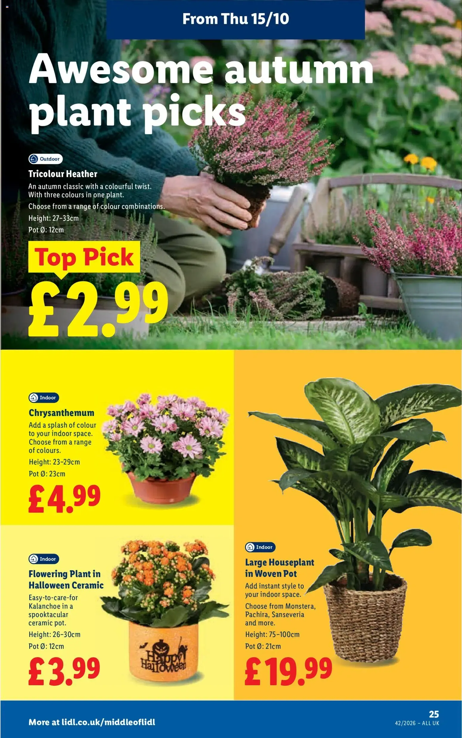 Lidl Scotland: Pet food & accessories from Max & Mila's World, plus weekly offers from 15 October to 21 October 2026 - Catalogue Page 27