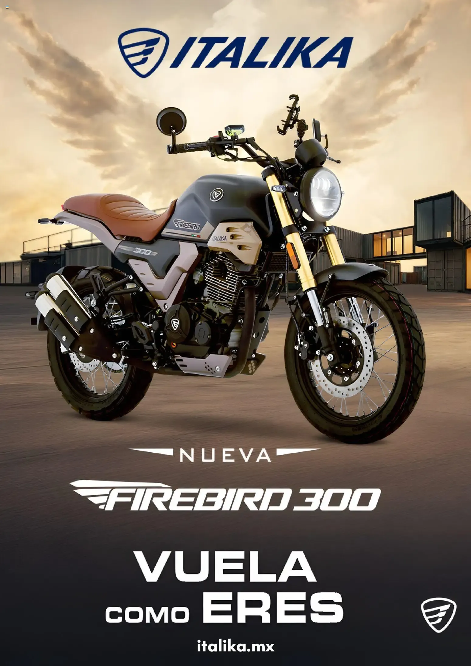 NUEVA FIREBIRD 300