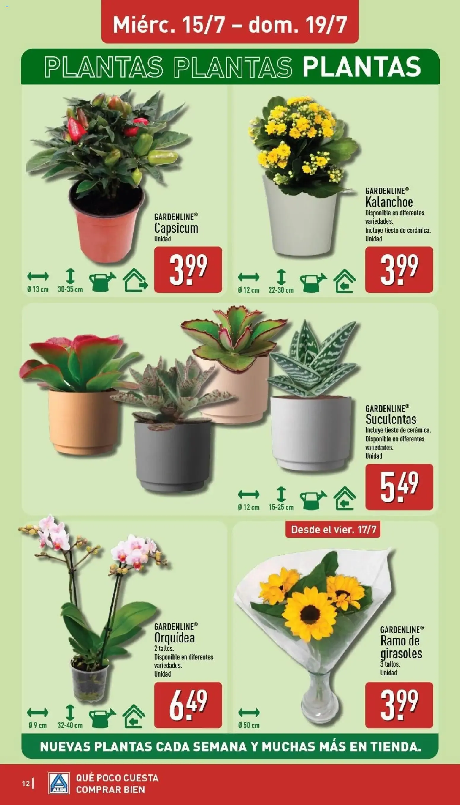 Catálogo de Un baño de frescura al mejor precio. 13 de julio al 19 de julio 2026 - Página 12