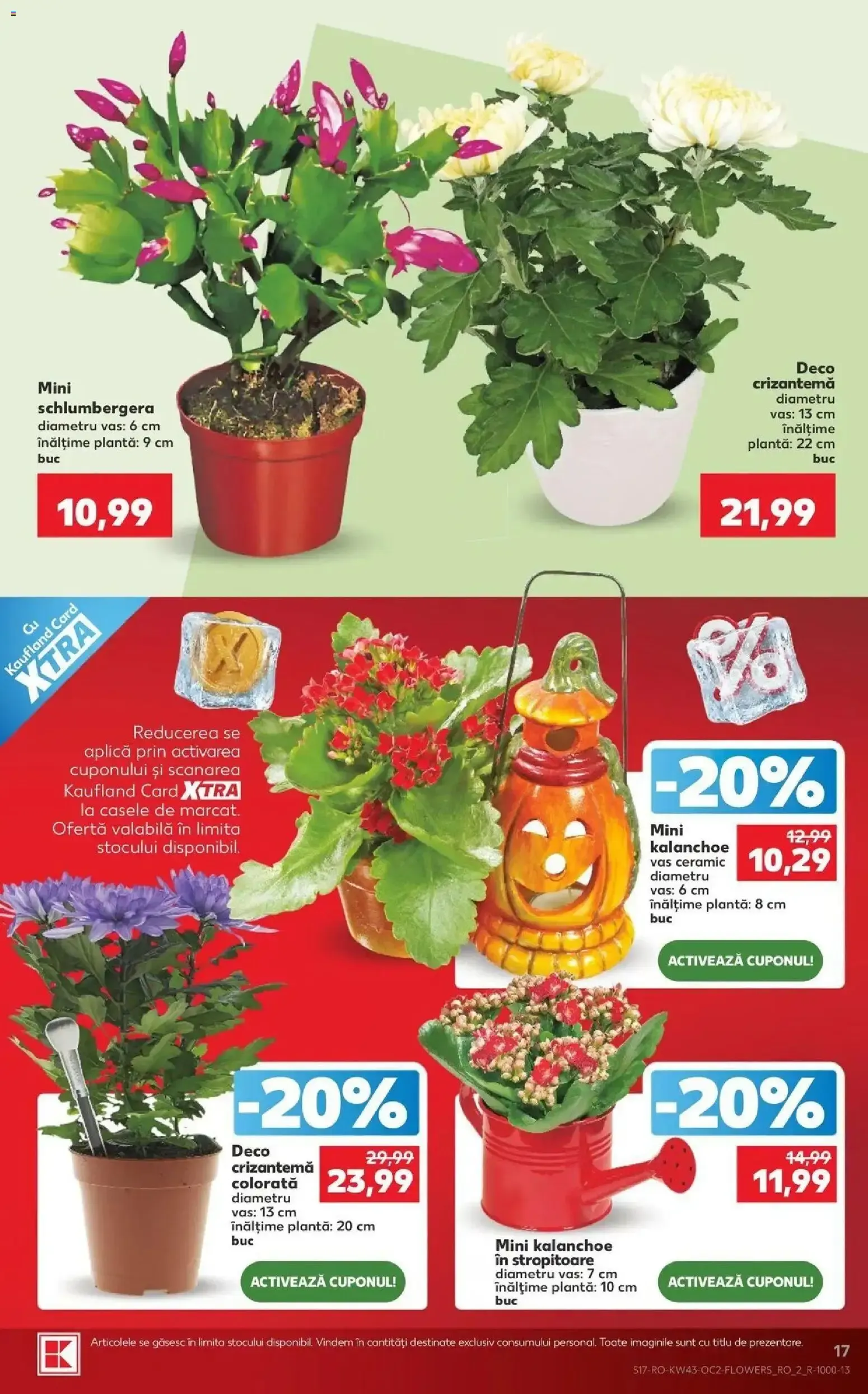 Catalog Kaufland București 21.10.2026 - Revista si Oferta de la 21 octombrie până la 27 octombrie 2026 - Revista Pagina 17