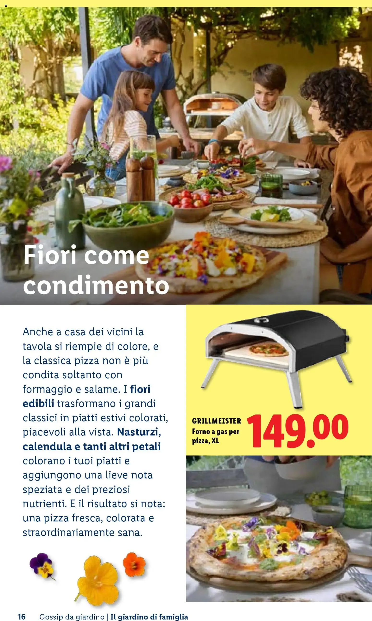 Vivi il tuo giardino - Rivista per il giardinaggio Primavera 2026 da 23 aprile a 1 luglio di 2026 - Pagina del volantino 16