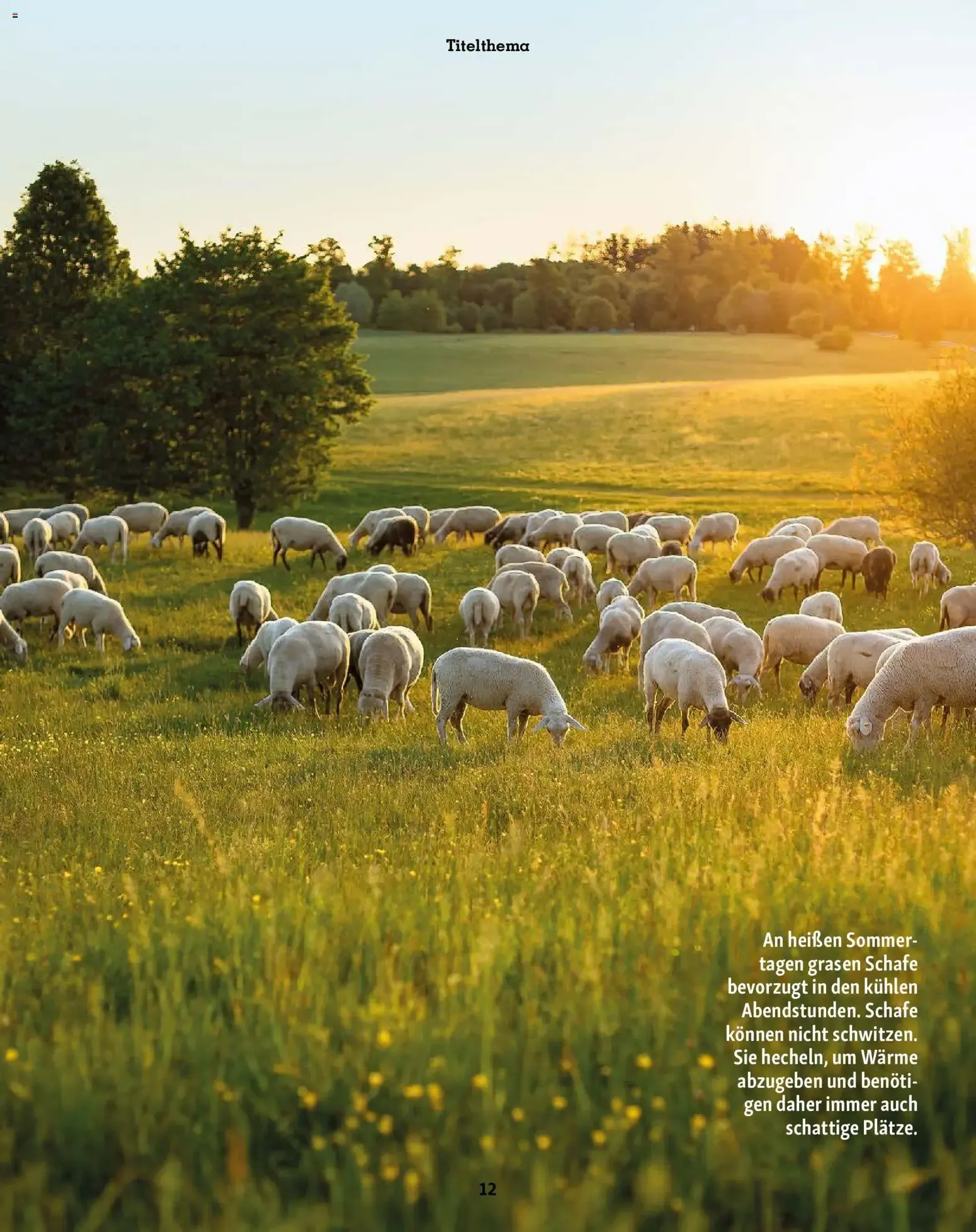 FRESSNAPF Friends - Europas größtes Haustier-Magazin von 1. Juli bis 31. August 2026 - Prospekt seite 12