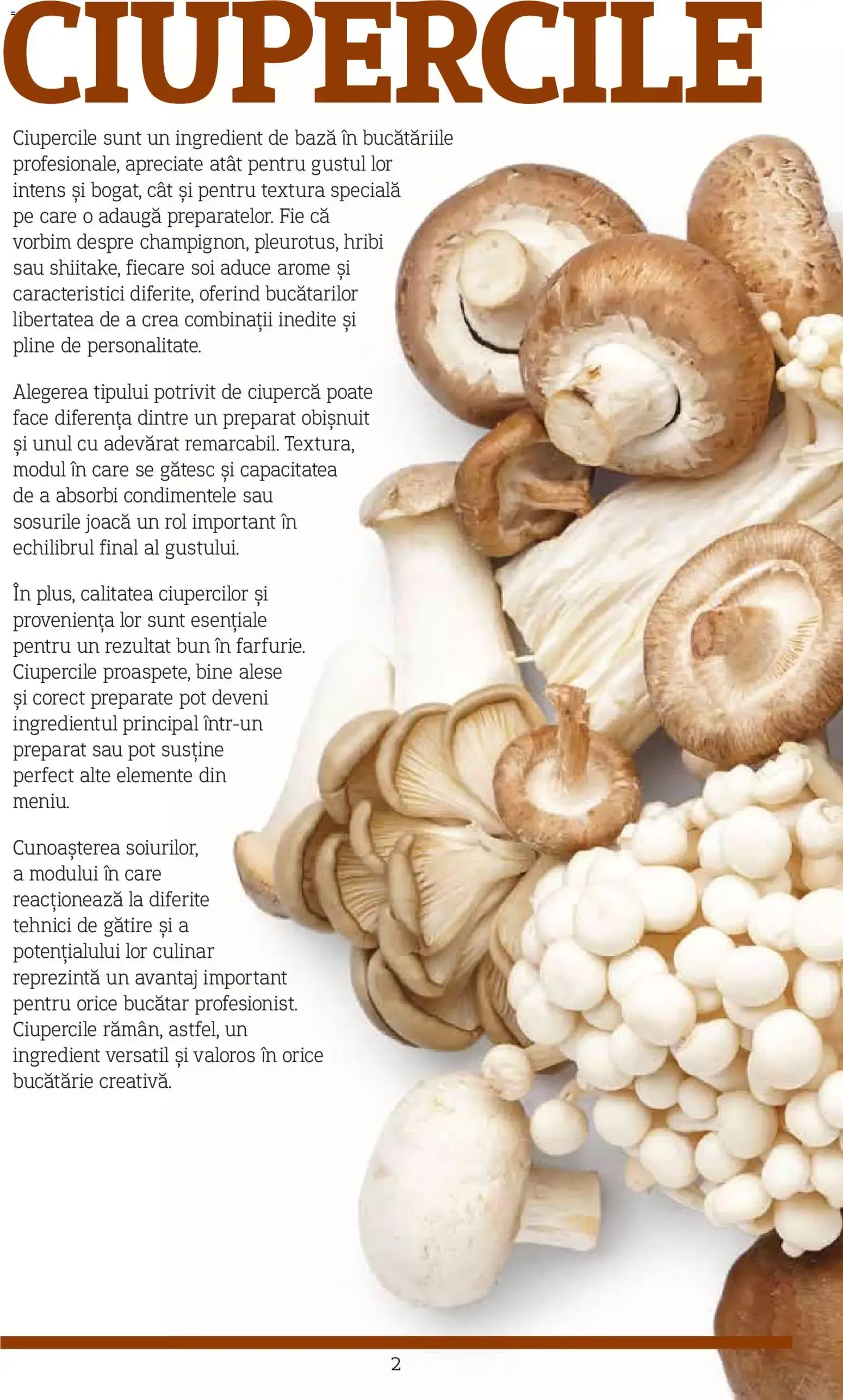 Catalog Metro catalog - Varietăți de Ciuperci - Oferta 10.11.2025 - 31.12.2026 de la 10 noiembrie până la 31 decembrie 2026 - Revista Pagina 2