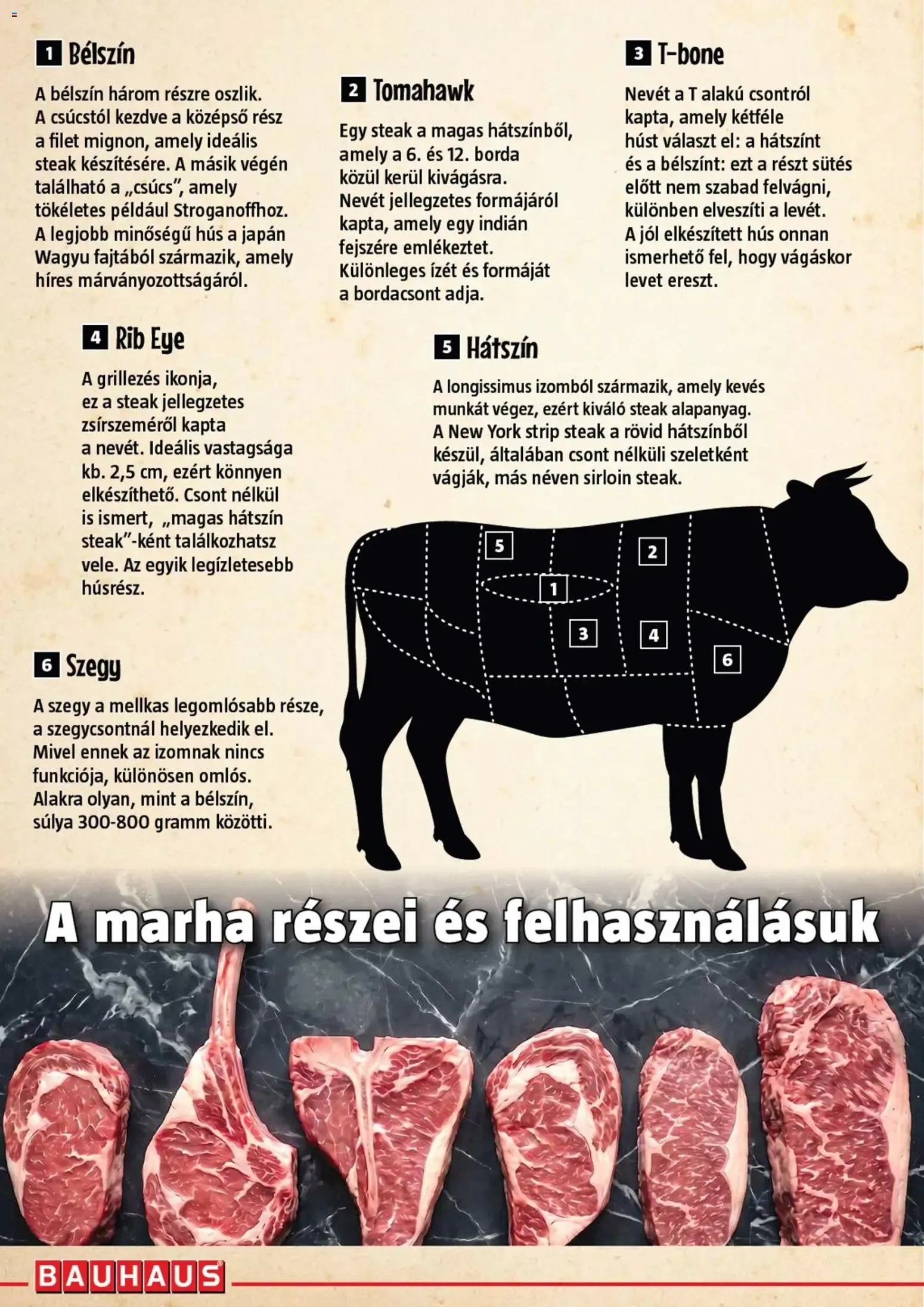 Katalógus Bauhaus Grillkatalógus - 2026.05.26. -tól/töl > akció, lapozható szórólap 🛍️ május 26.-tól június 30.-ig 2026. - Oldal 14