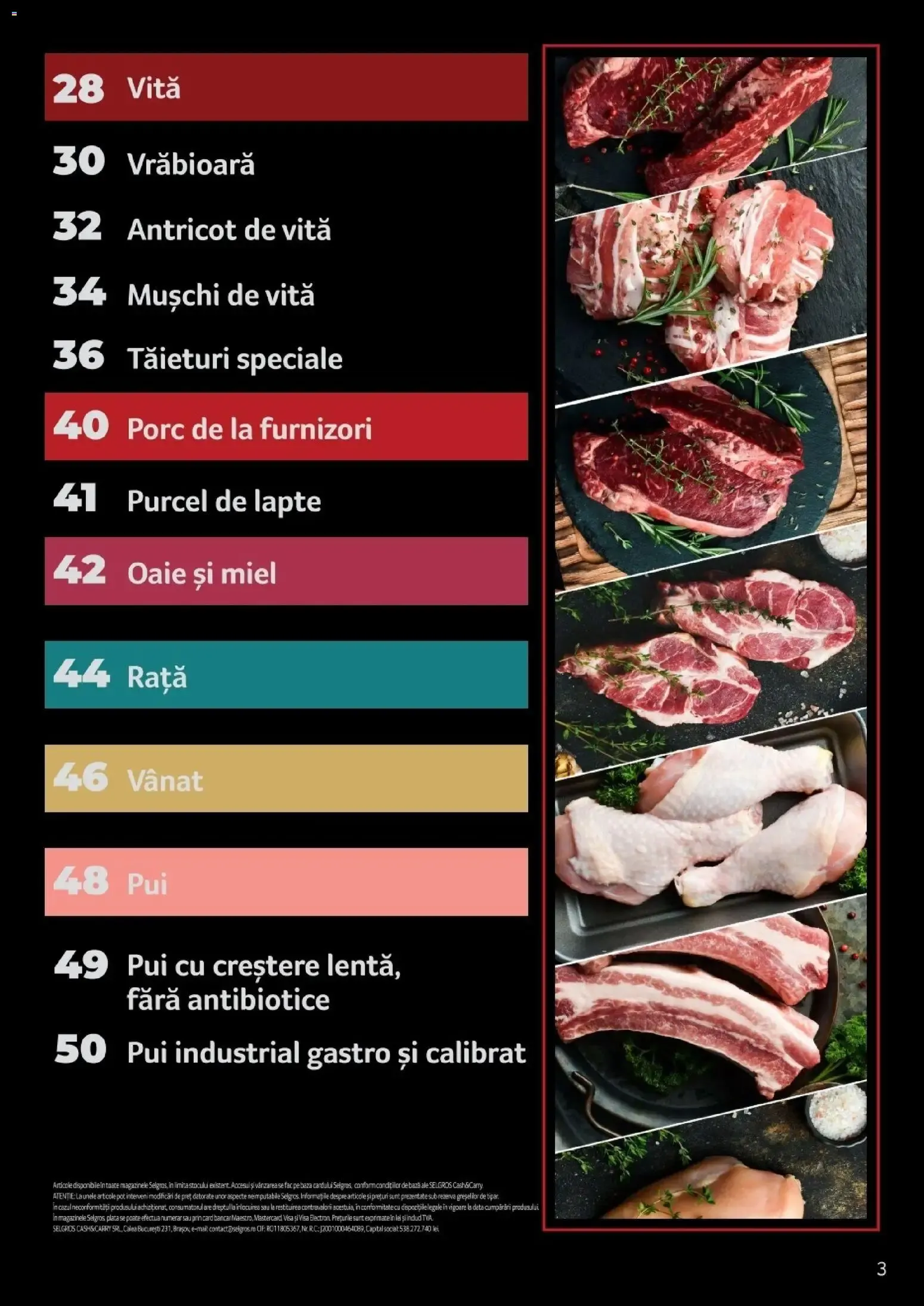 Catalog Selgros Catalog Carne de la 25 martie până la 31 martie 2027 - Revista Pagina 3