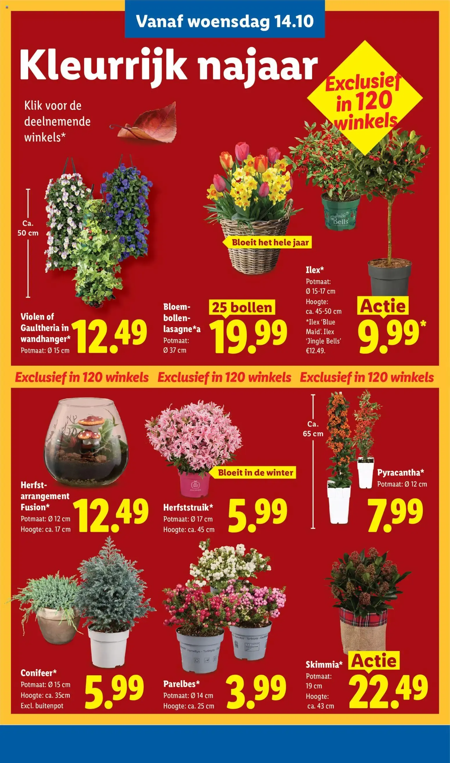 Lidl folder vanaf 12-10-2026 -- NIEUWE van 12 oktober tot 18 oktober 2026 - Folder pagina 25
