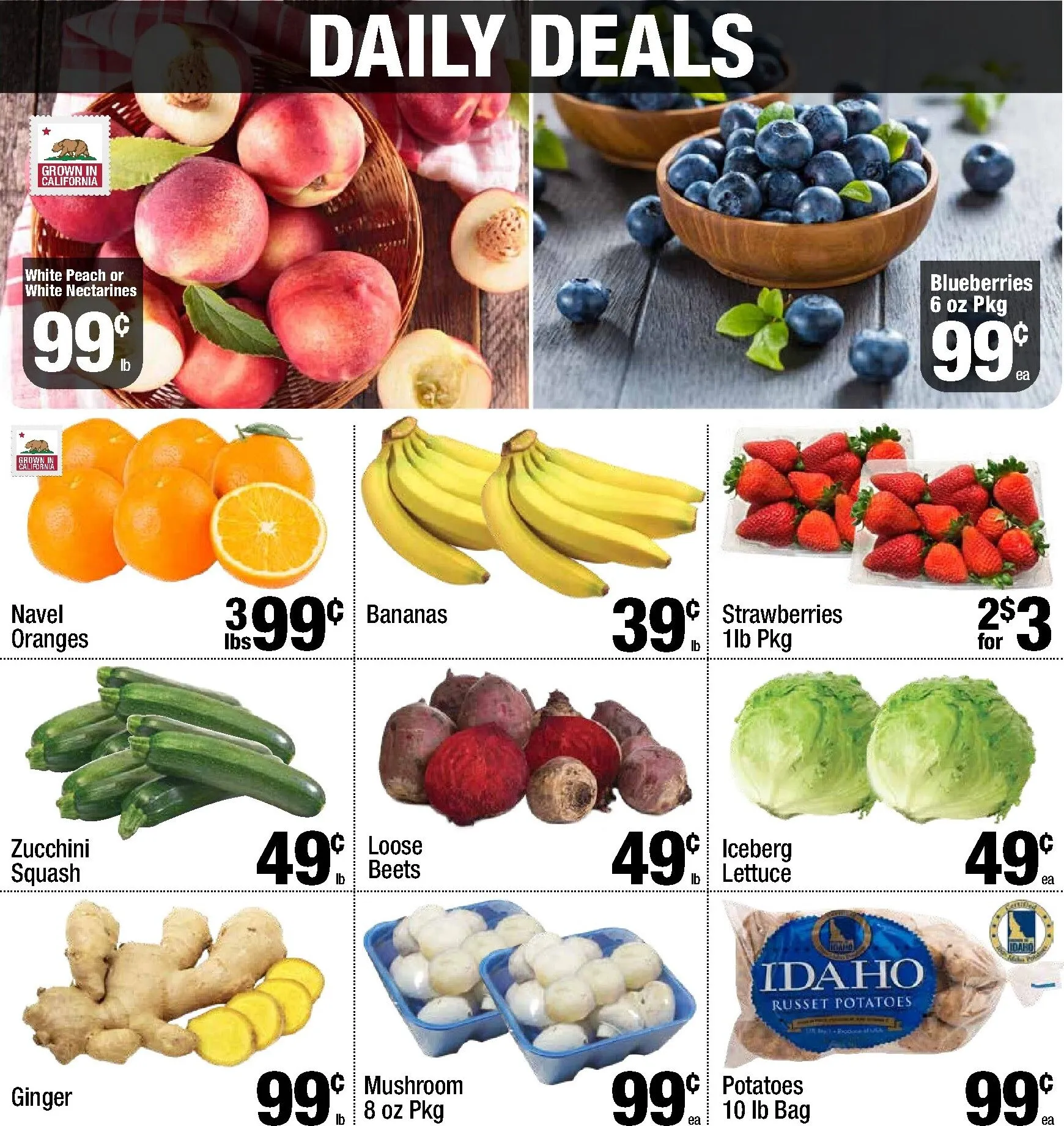 Daily Deals