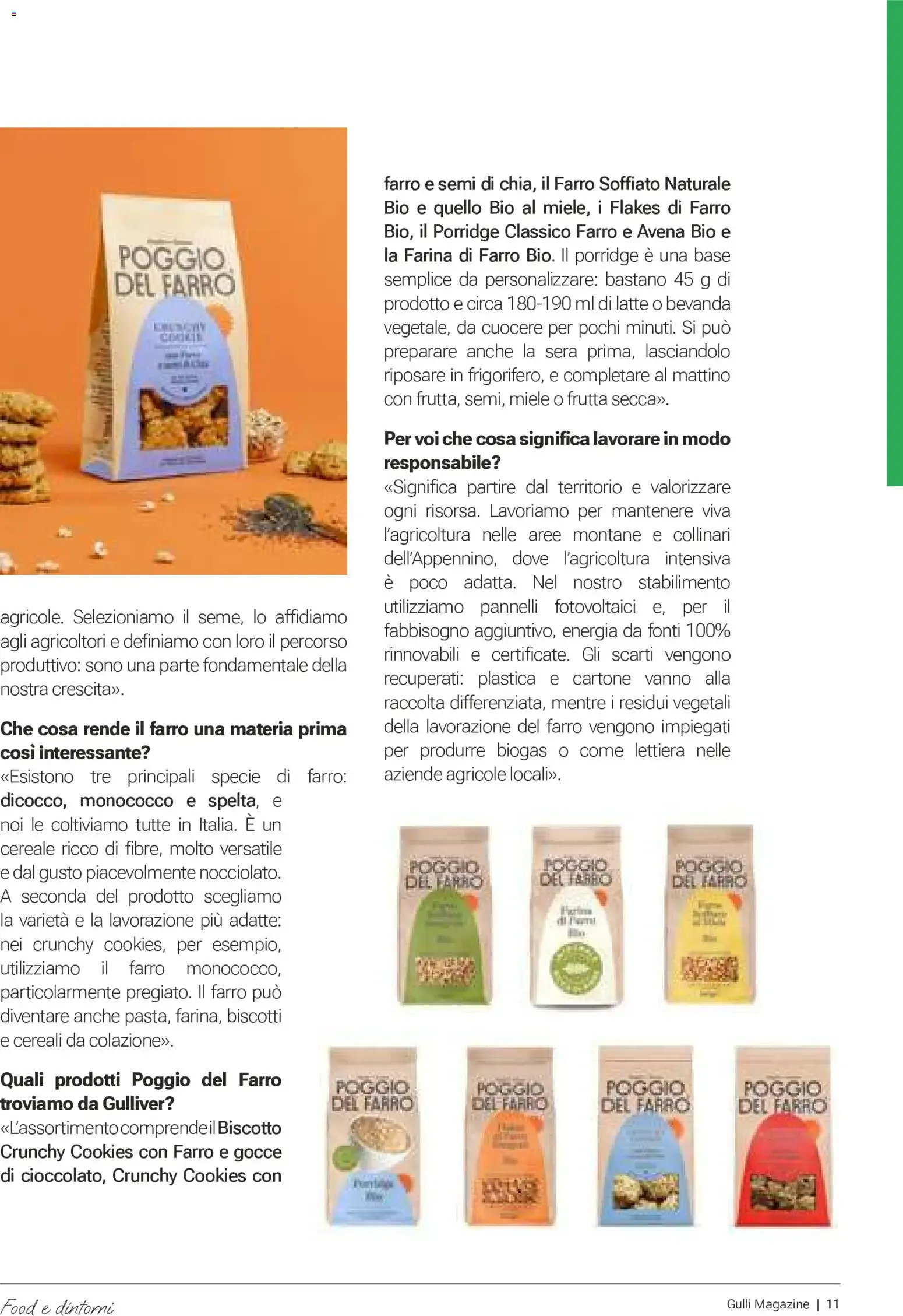 Nuovo Gulliver volantino Ottobre dal 01/10/2026 > offerte anteprima 🛍️ da 1 ottobre a 31 ottobre di 2026 - Pagina del volantino 11
