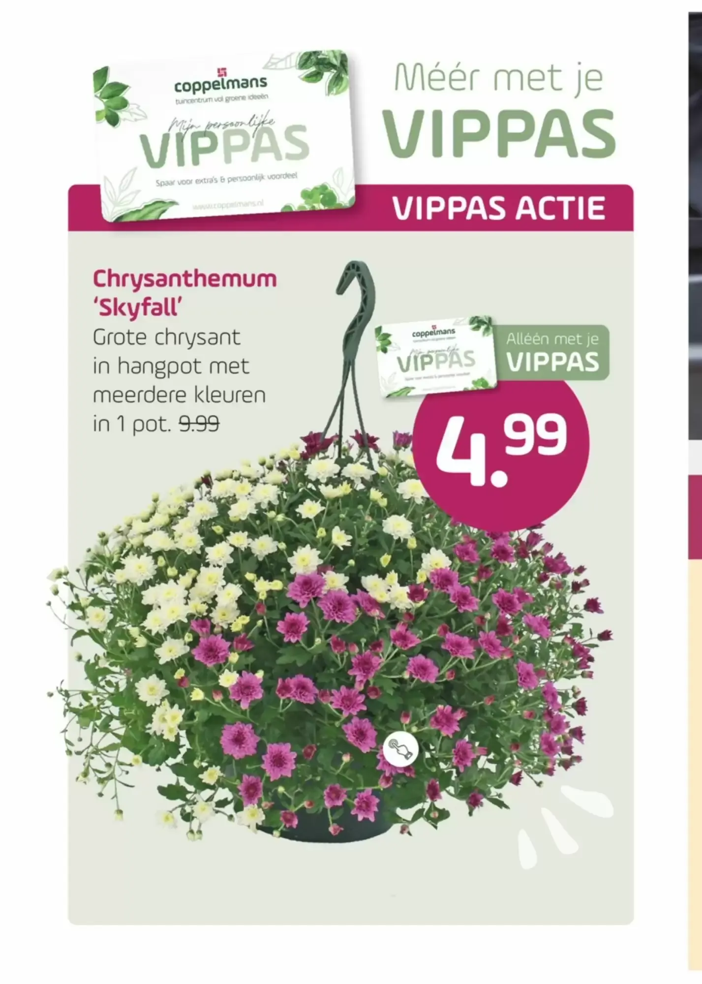 Coppelmans Kerstshows van 30 september tot 11 oktober 2026 - Folder pagina 2