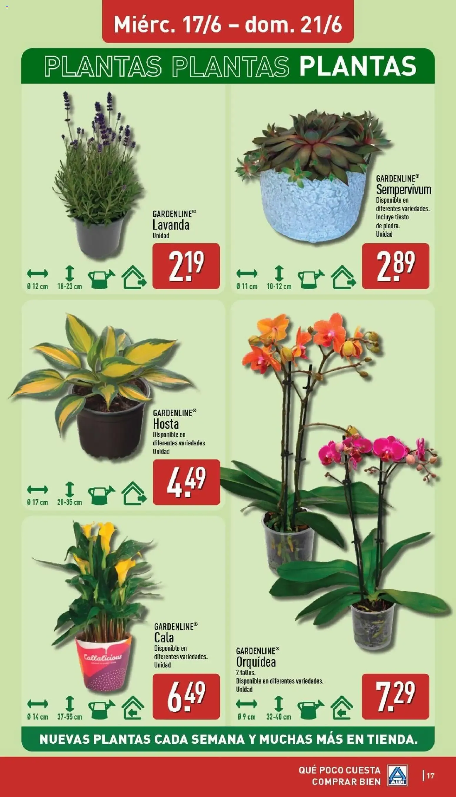Catálogo de Catálogo de ofertas Aldi 15 de junio al 21 de junio 2026 - Página 17