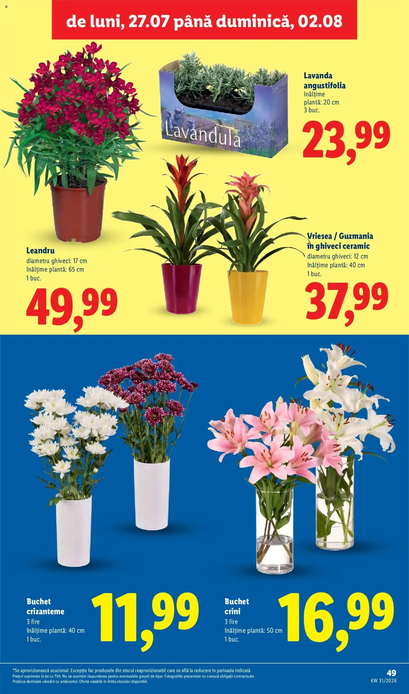 Catalog Catalog LIDL 27.07.2026 - Oferta și Revista online de la 27 iulie până la 2 august 2026 - Revista Pagina 49
