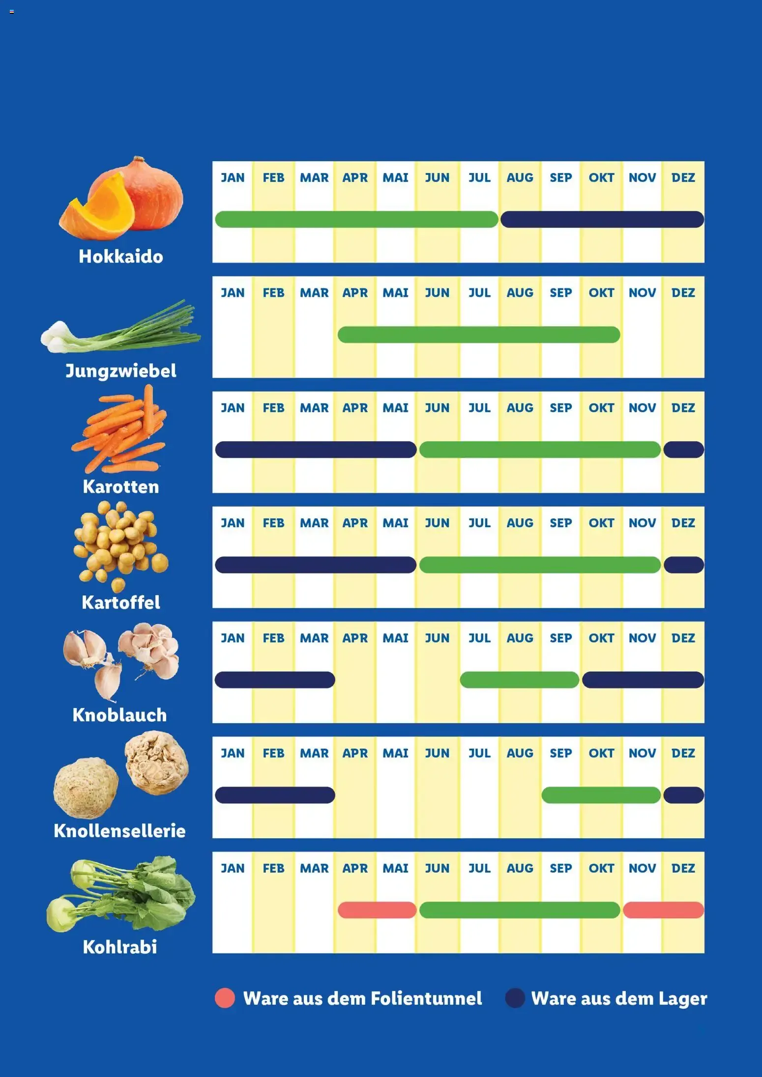 Lidl Saisonkalender - Obst und Gemüse ab 01.01.2026 - Angebote ab donnerstag von 1. Jänner bis 31. Dezember 2026 - Flugblätt seite  5