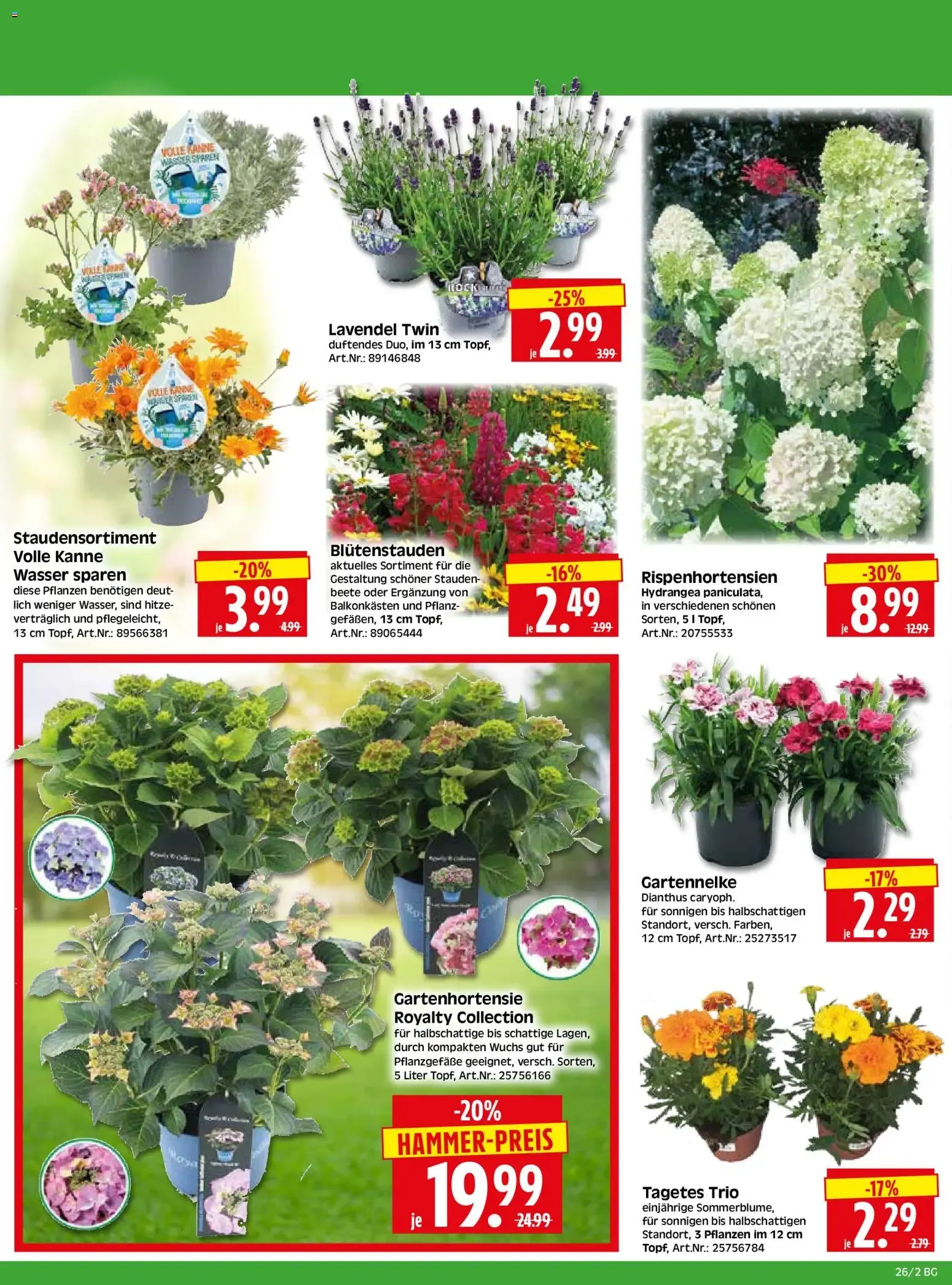 HERKULES Bau & Garten (ab 22.06.2026) zum Blättern von 22. Juni bis 27. Juni 2026 - Prospekt seite 2