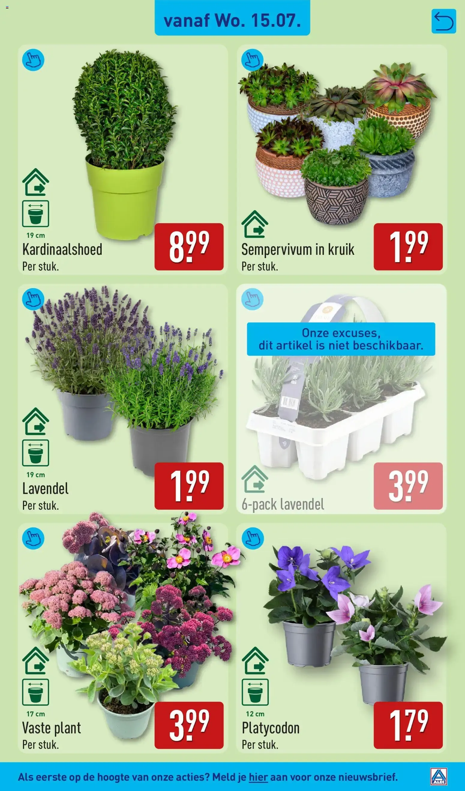 Aldi folder vanaf 13-07-2026 (volgende, deze week) van 13 juli tot 19 juli 2026 - Folder pagina 43