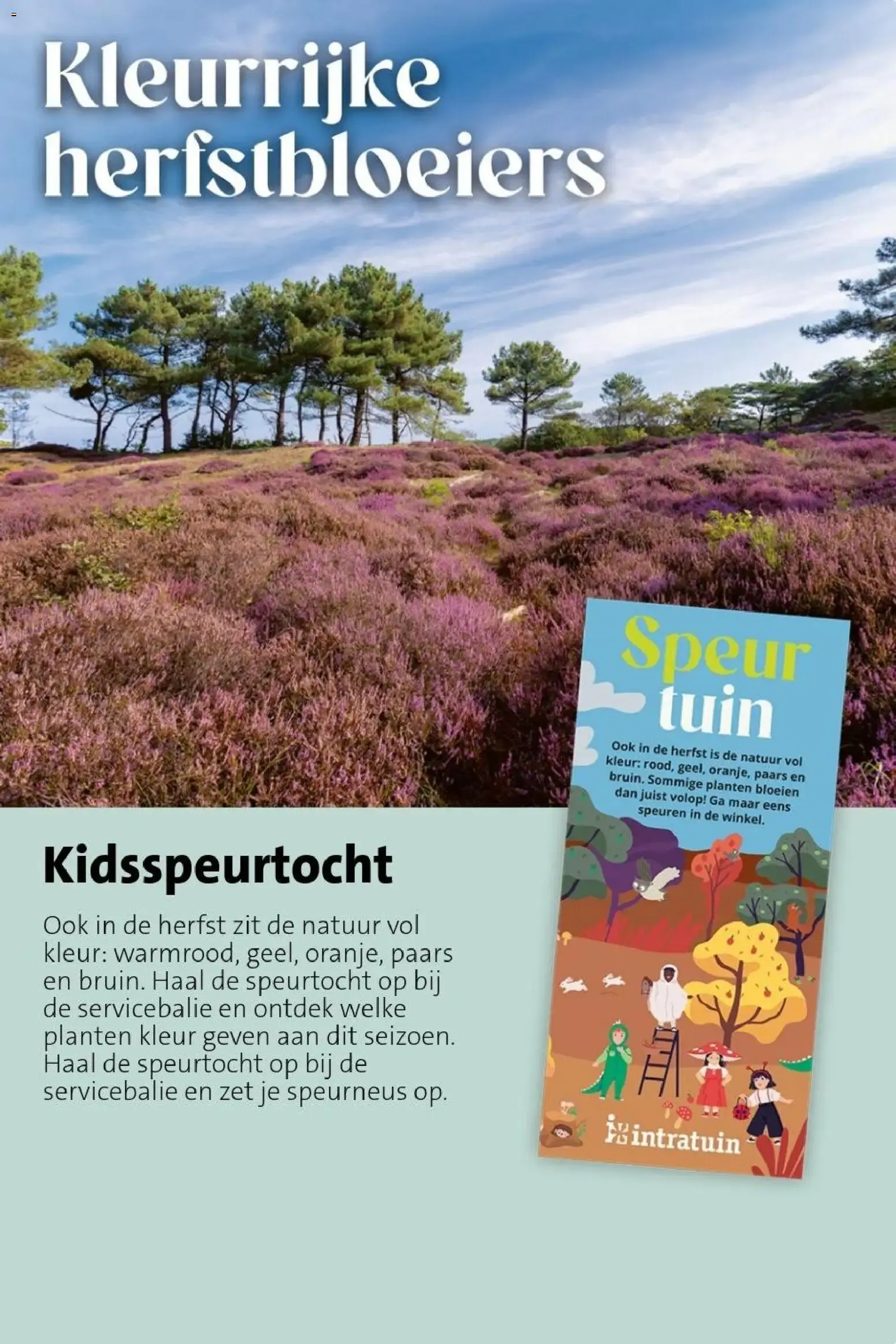 Intratuin - Kleur je interieur! van 19 oktober tot 25 oktober 2026 - Folder pagina 11