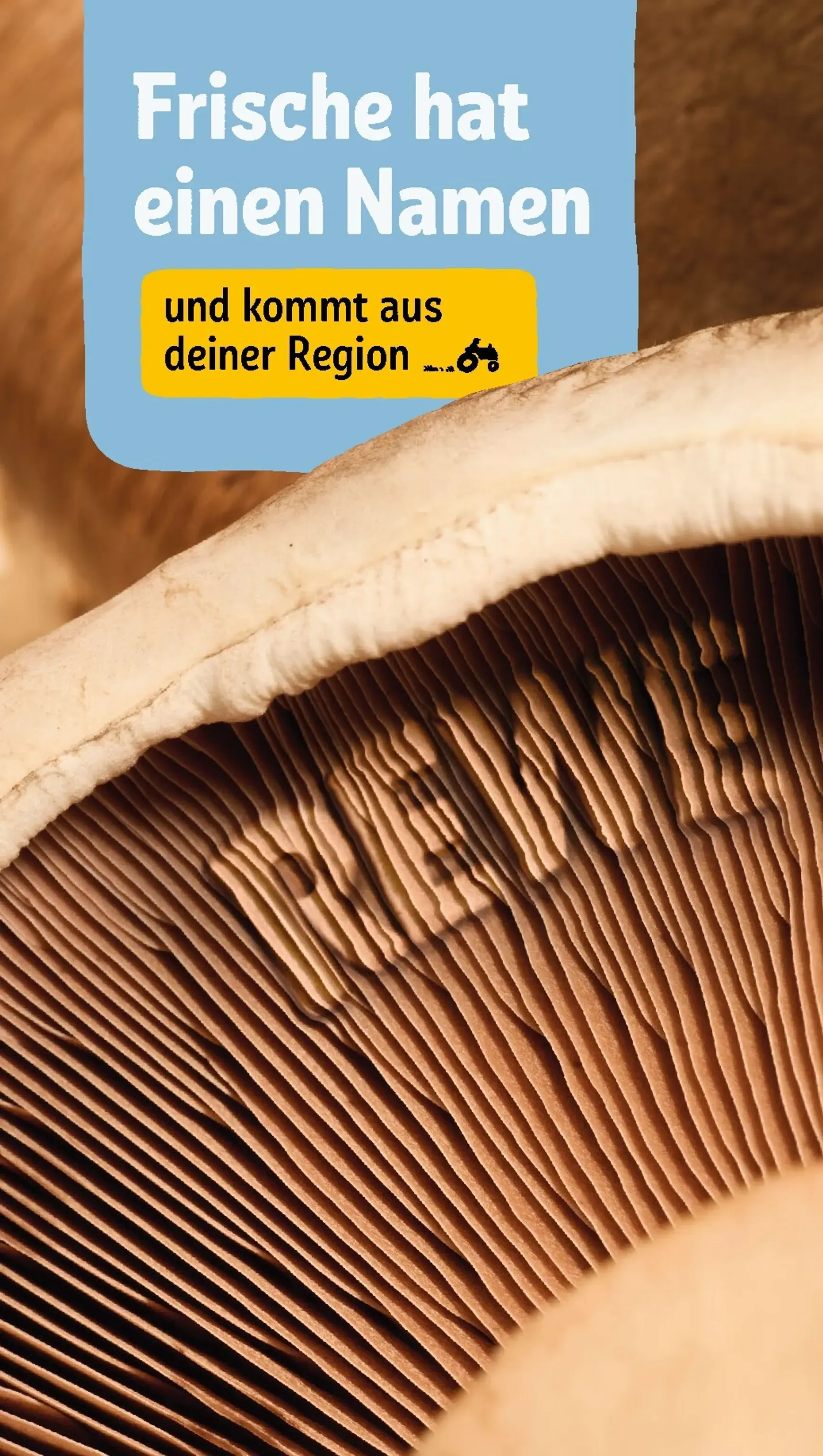 Rewe Prospekt – von Montag 27.07.2026 bis Sonntag 02.08.2026 von 27. Juli bis 2. August 2026 - Prospekt seite 21