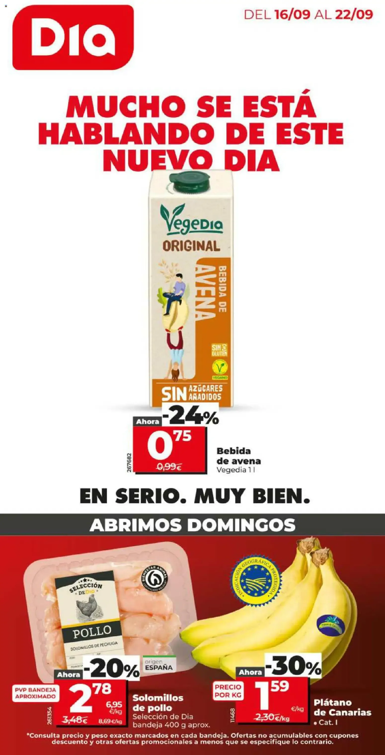 Folleto de ofertas Dia