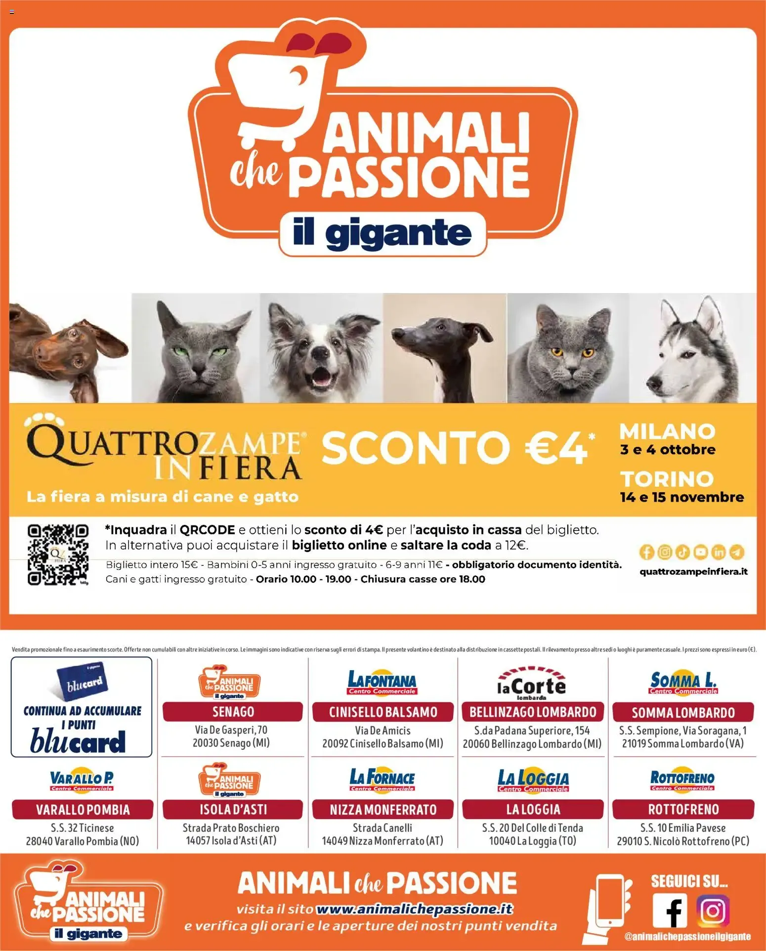La Scuola della Convenienza - Animali che Passione Il Gigante da 10 settembre a 11 ottobre di 2026 - Pagina del volantino 8