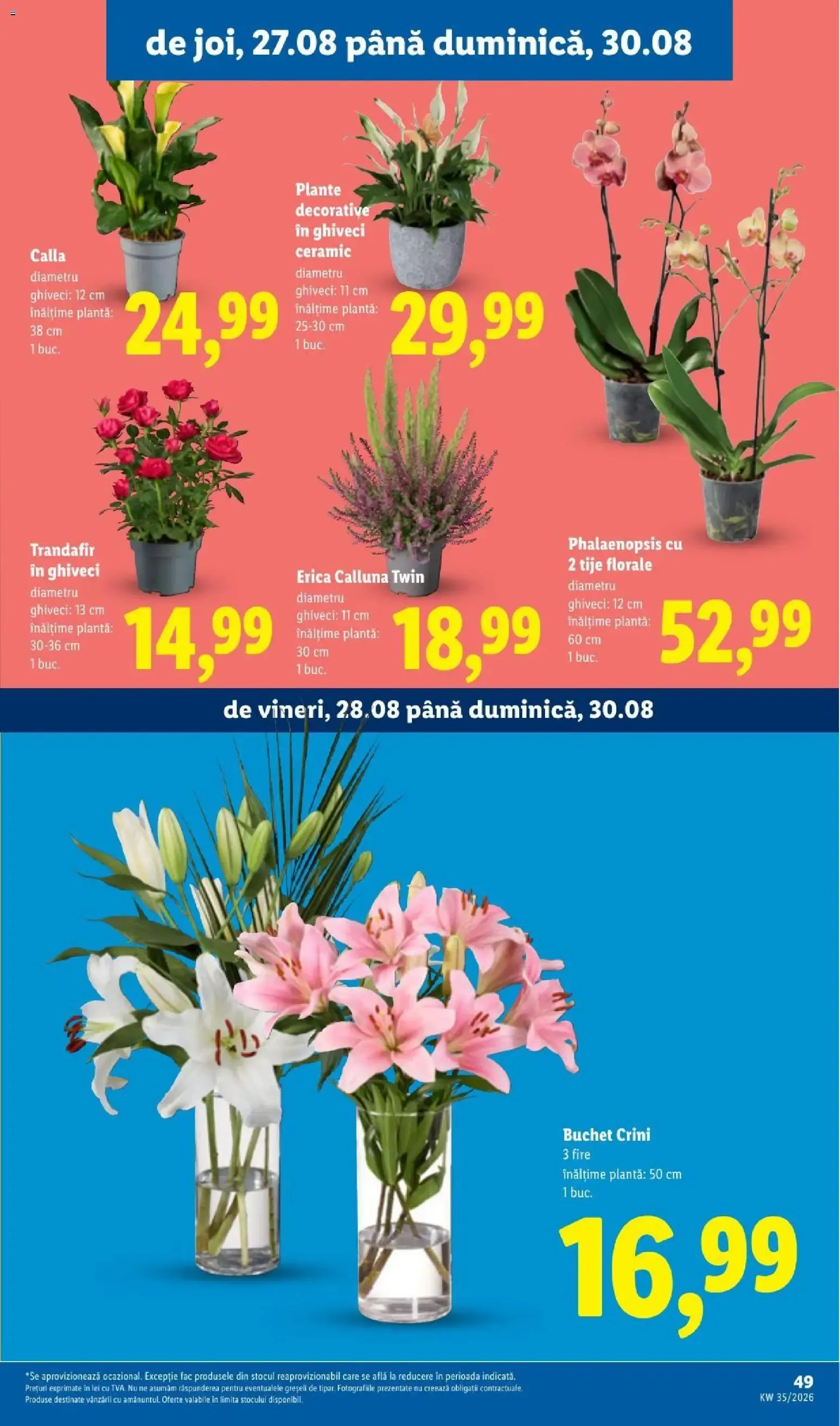 Catalog LIDL: Ieftin și înainte, și după ziua de salariu (Ofertas del 24 al 30 de agosto de 2026) de la 24 august până la 30 august 2026 - Revista Pagina 49