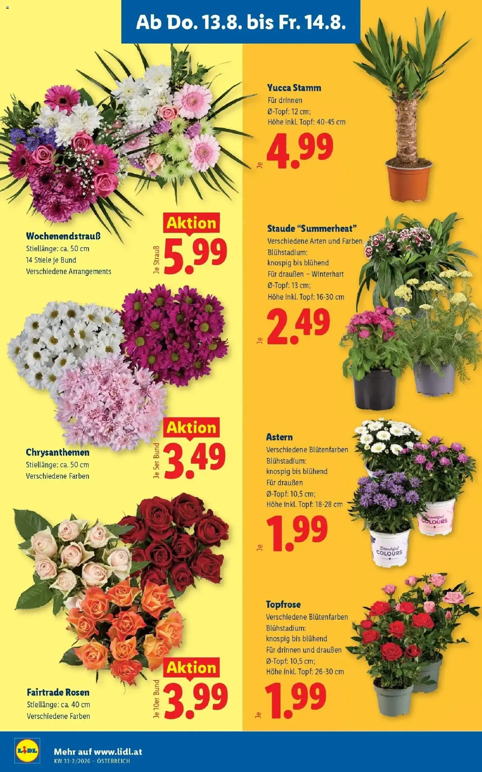 Lidl Plus Österreichs günstigste Preise von 13. August bis 14. August 2026 - Flugblätt seite  26