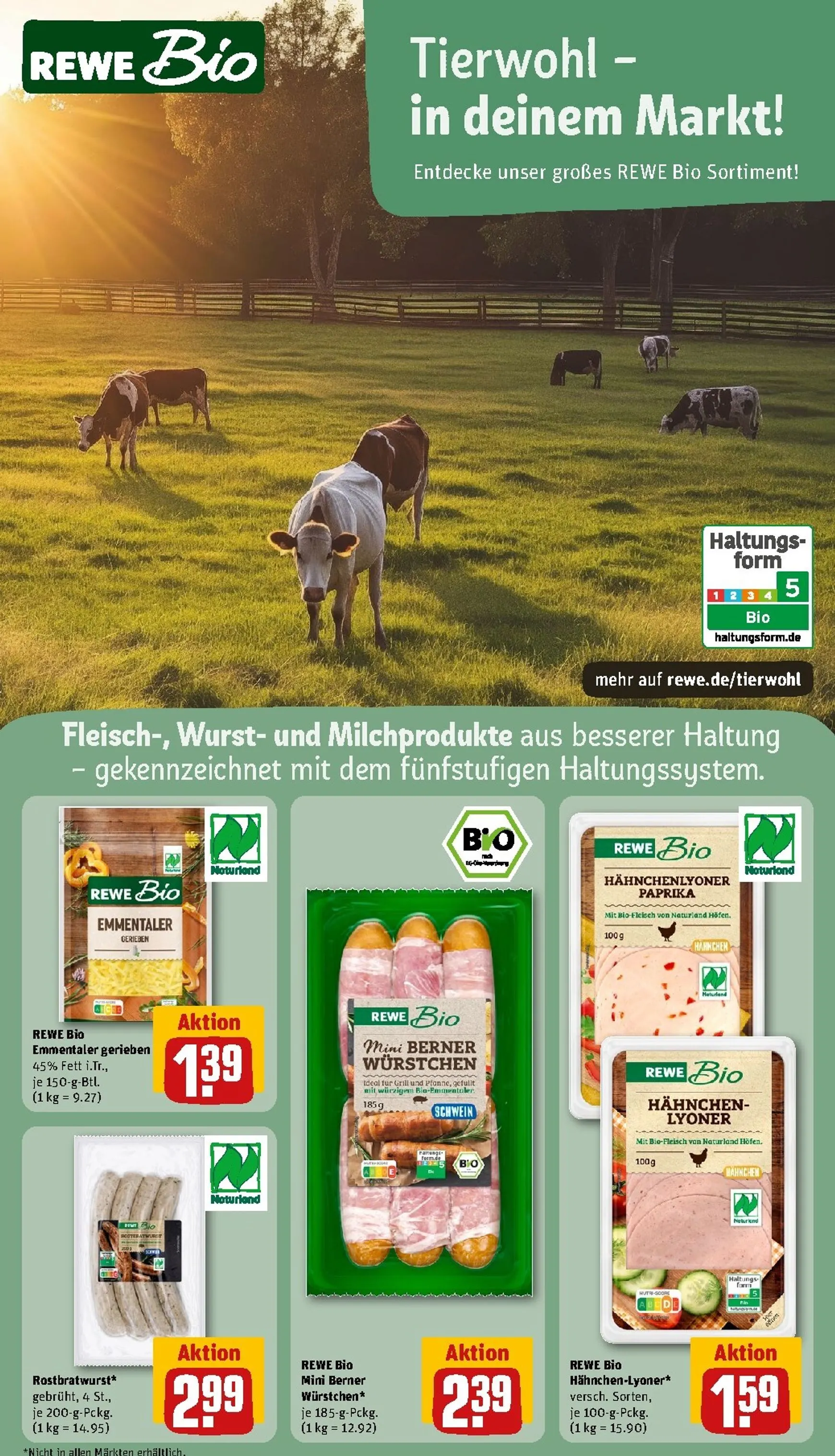 REWE Arina Fester Dein Markt: Mehr Grillen. Mehr sparen. von 3. August bis 9. August 2026 - Prospekt seite 13
