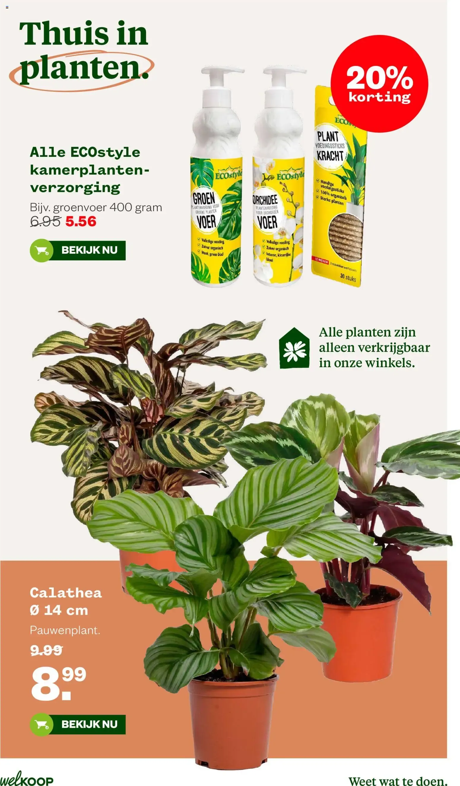 Welkoop folder vanaf 05-10-2026 || NIEUWE van 5 oktober tot 18 oktober 2026 - Folder pagina 17