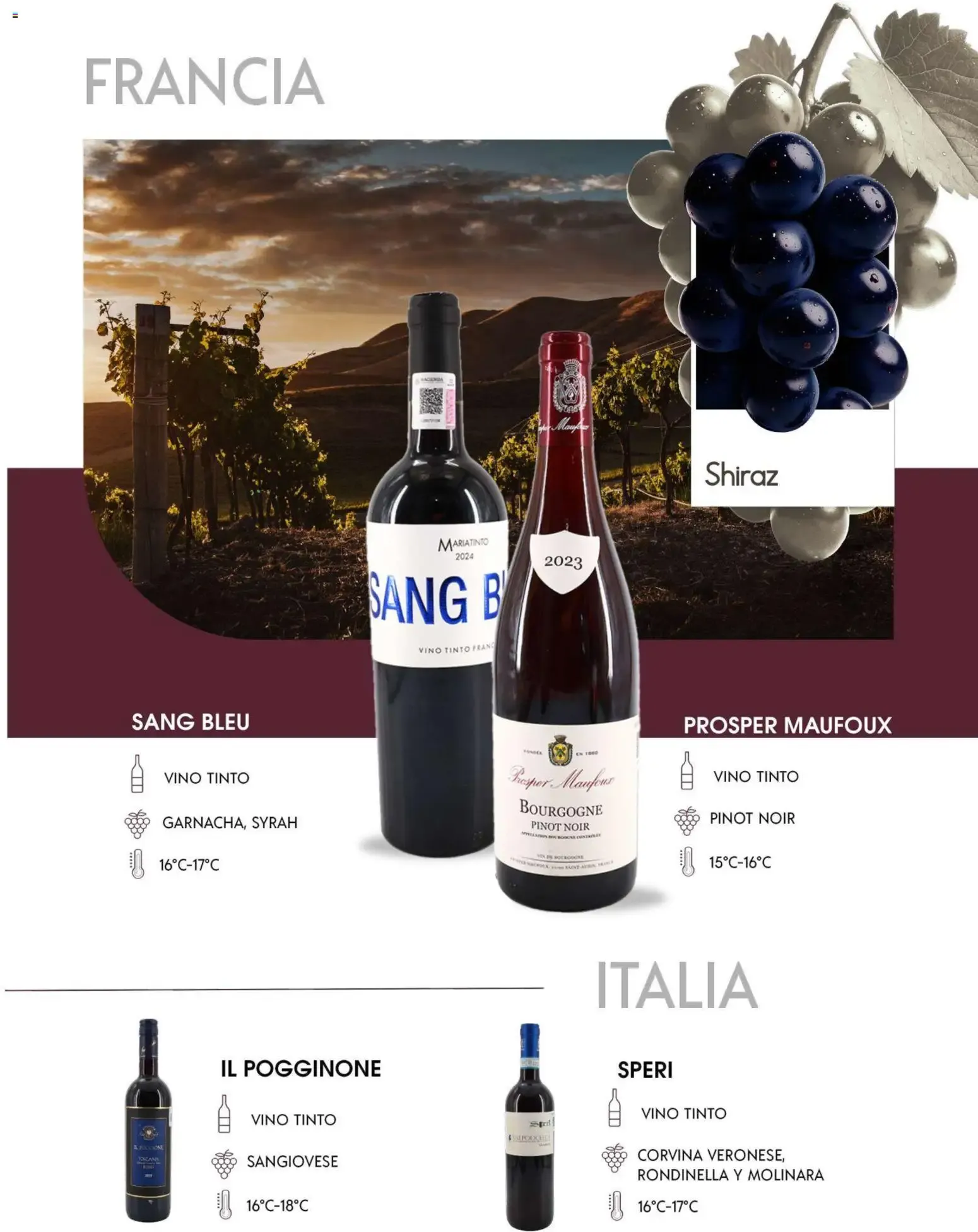 Catálogo de Festival del Vino - Cabernet Sauvignon 29 de septiembre al 29 de septiembre 2026 - Pagina 10