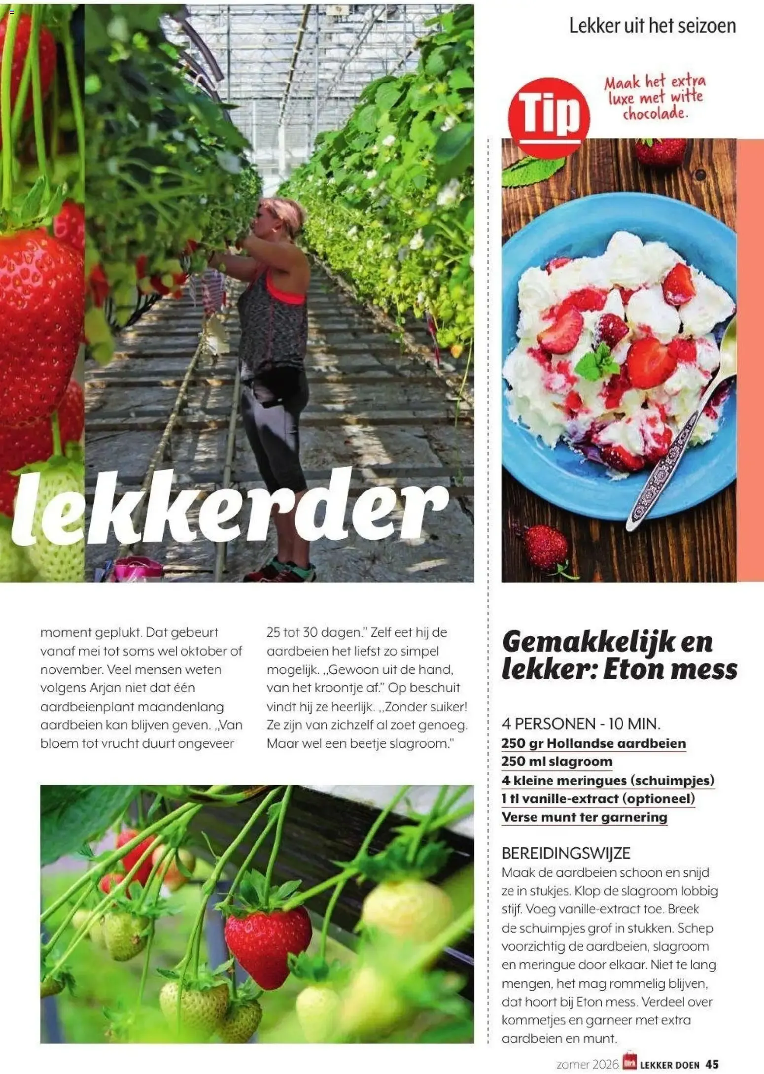 Lekker doen - Zomer 2026 van 24 juni tot 31 augustus 2026 - Folder pagina 45