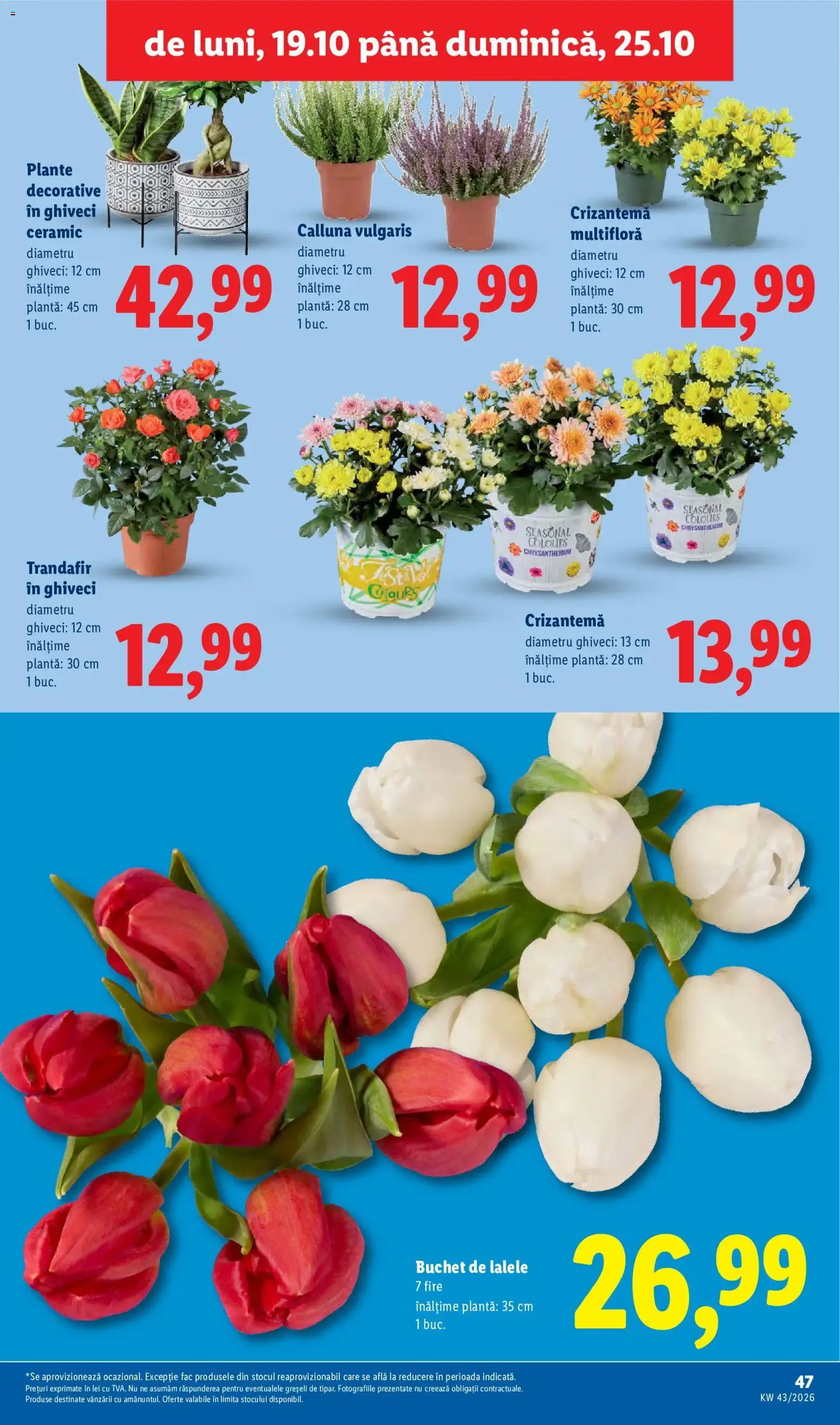 Catalog Catalog LIDL 19.10.2026 - Oferta și Revista online de la 19 octombrie până la 25 octombrie 2026 - Revista Pagina 46