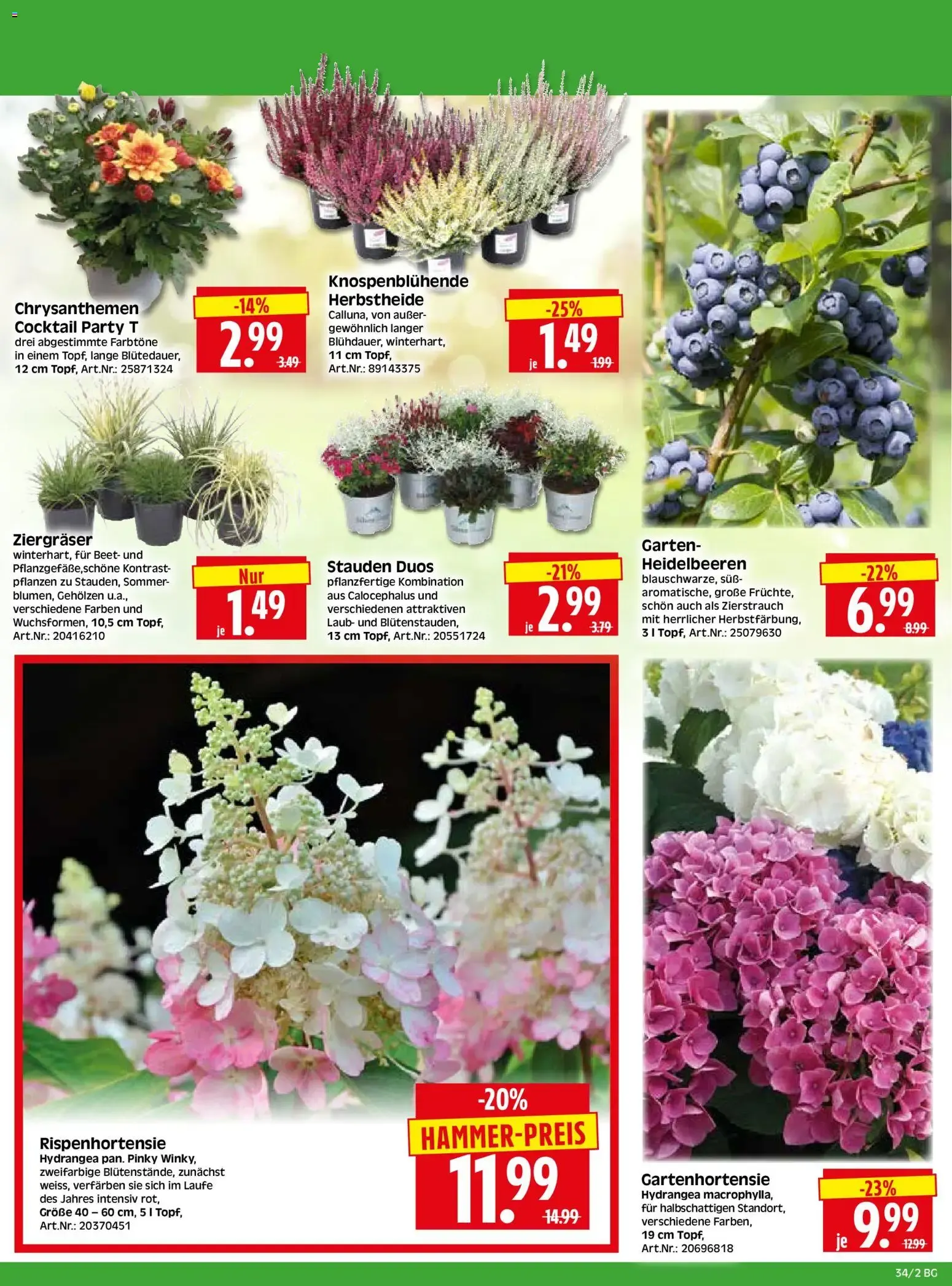 HERKULES Bau & Garten (ab 17.08.2026) zum Blättern von 17. August bis 22. August 2026 - Prospekt seite 2