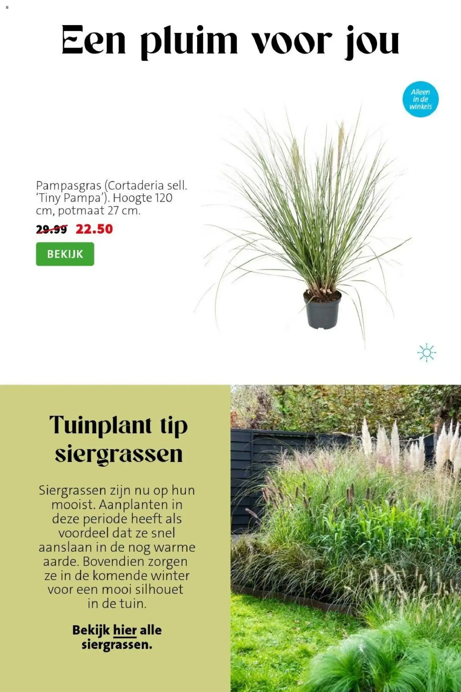 Planten-statement van 31 augustus tot 6 september 2026 - Folder pagina 5