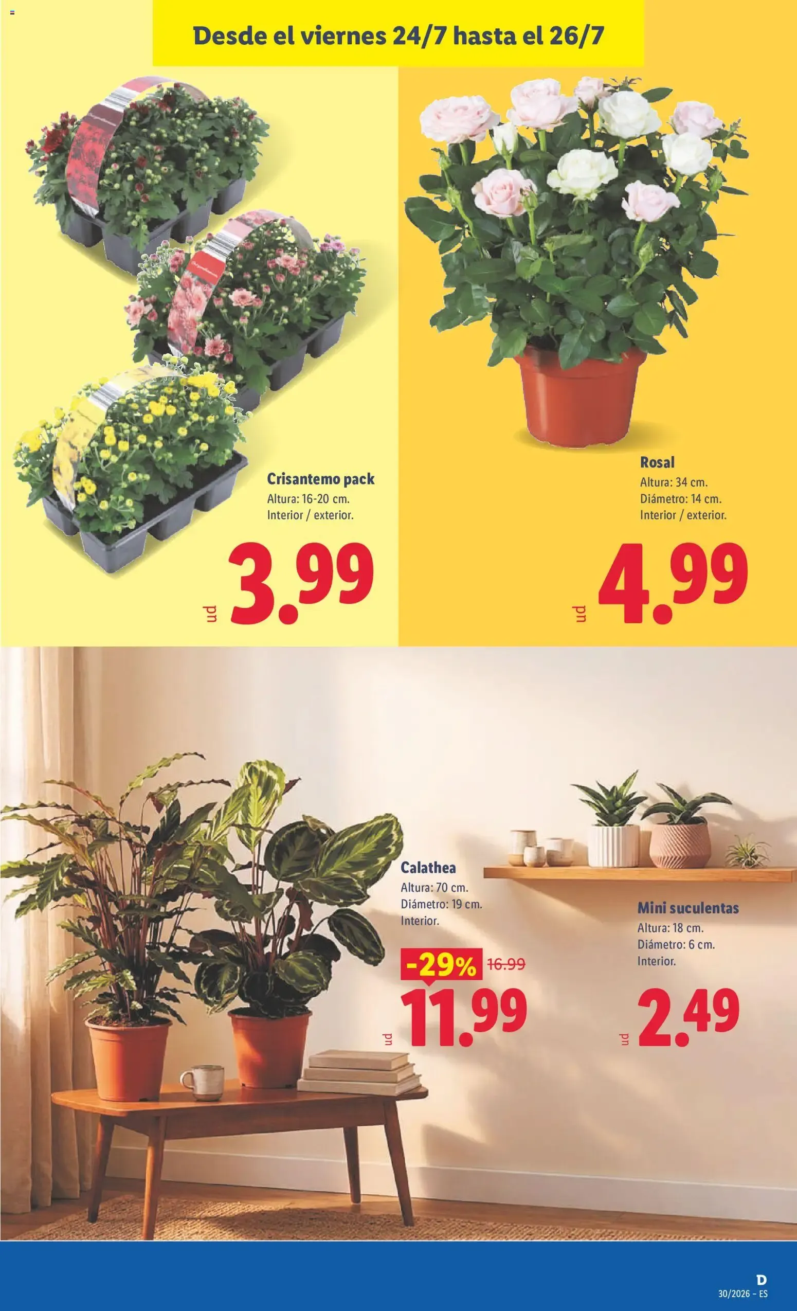 Catálogo de Lidl folleto del 20/07/2026 | Ofertas 20 de julio al 26 de julio 2026 - Página 49