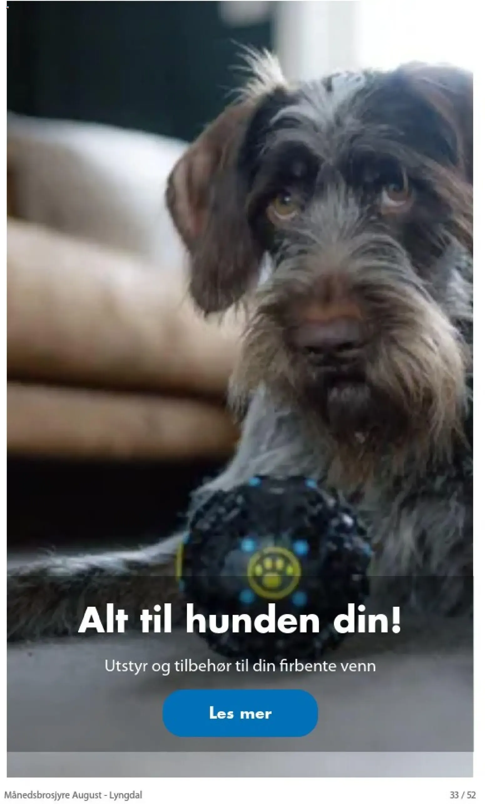 Biltema Månedsbrosjyre August - National (01/08/2026 - 30/08/2026) - Kundeavis og tilbud fra 1. august til 30. august 2026 - kundeavisside 33