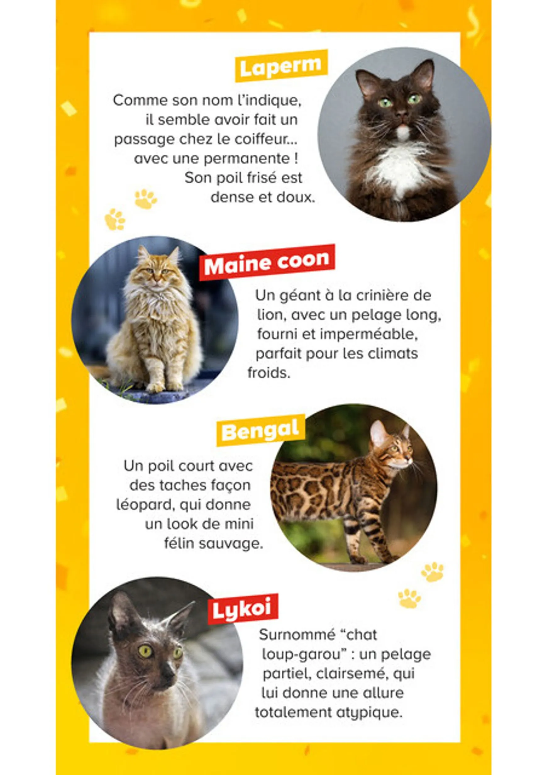 Current Carrefour Market - Découvrez la Marque Carrefour Companino leaflet valid from du mardi 04/08/2026 to du lundi 07/09/2026 du 4 août au 7 septembre 2026 - Catalogue page 18