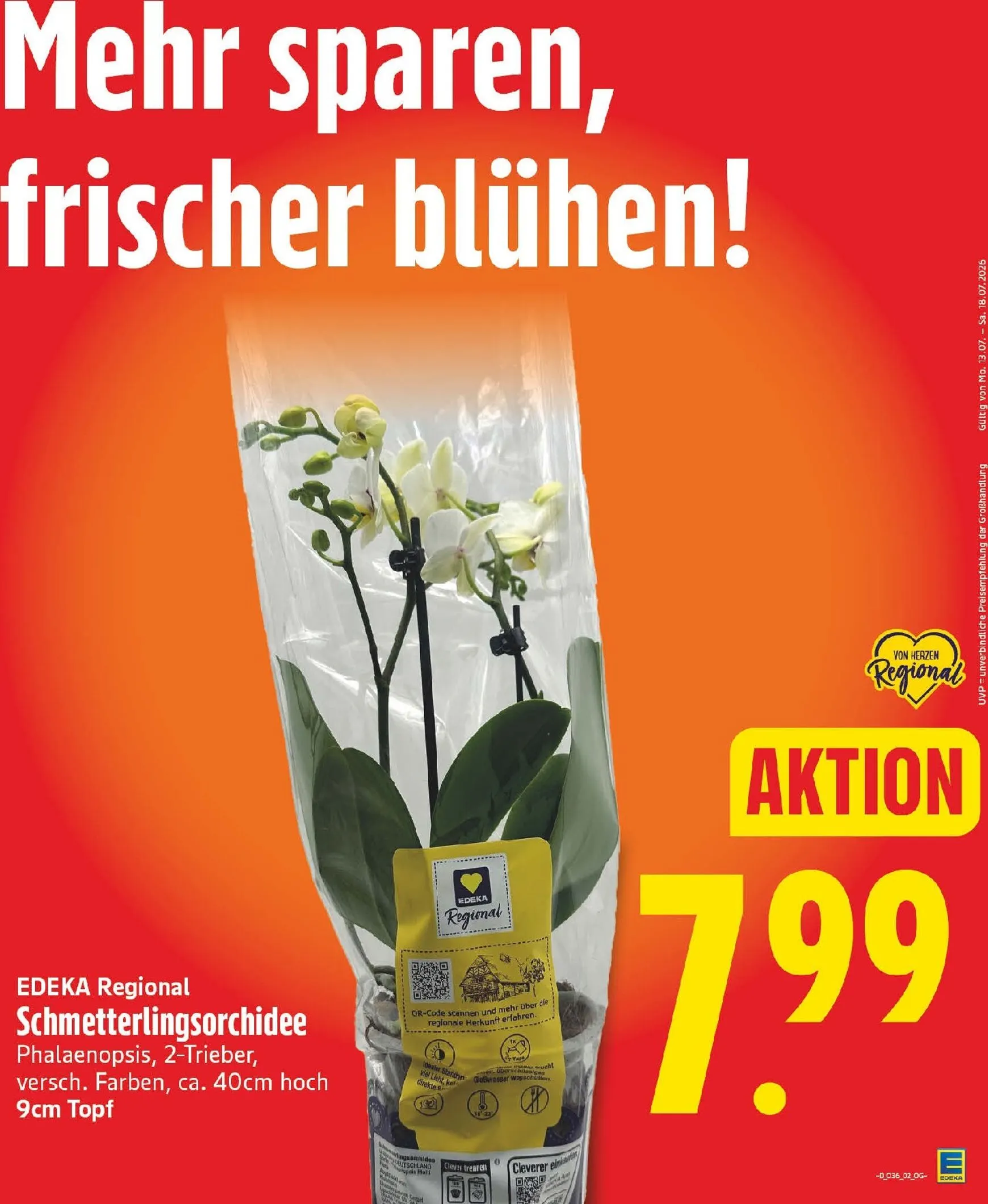 Edeka Prospekt nächste Woche – von Montag 31.08.2026 bis Samstag 05.09.2026 von 31. August bis 5. September 2026 - Prospekt seite 5