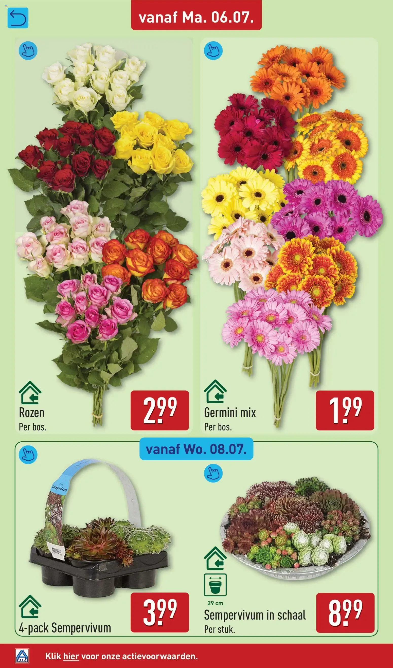 Aldi folder vanaf 06-07-2026 (volgende, deze week) van 6 juli tot 12 juli 2026 - Folder pagina 36