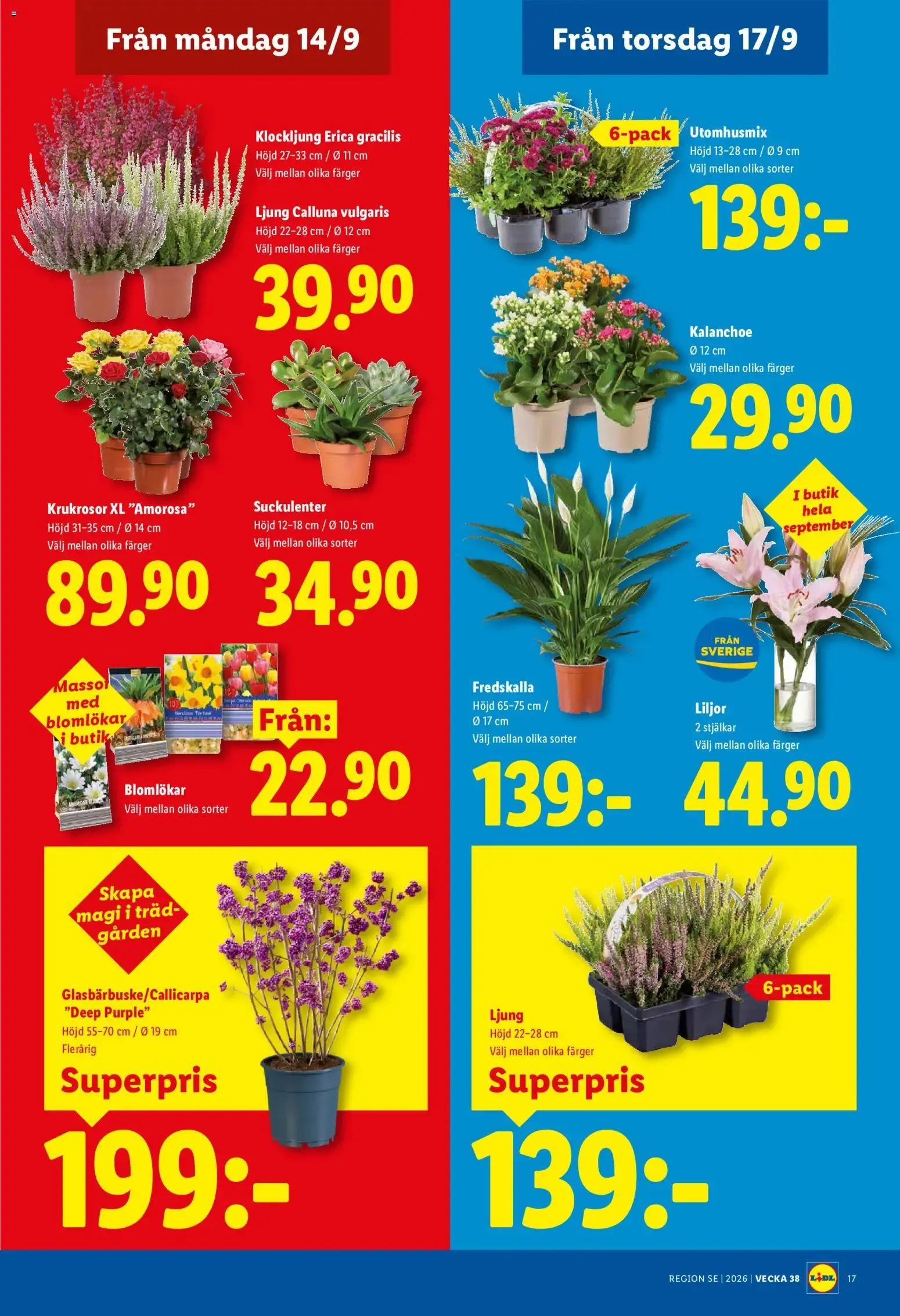 Lidl erbjudanden från 14/09/2026 - 20/09/2026 > Reklamblad nuvarande rabatter från 14 september till 20 september 2026 - Reklamblad sidor 20