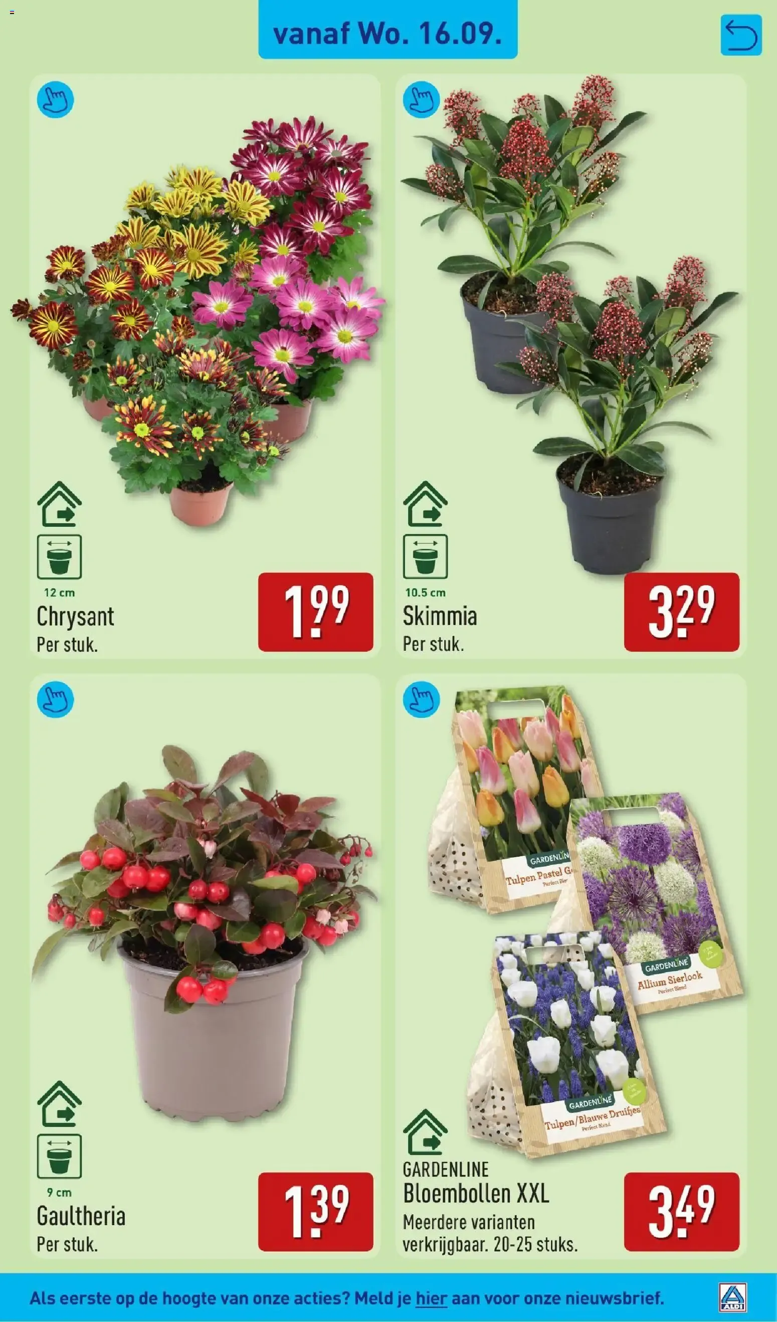 Aldi folder vanaf 14-09-2026 (volgende, deze week) van 14 september tot 20 september 2026 - Folder pagina 33
