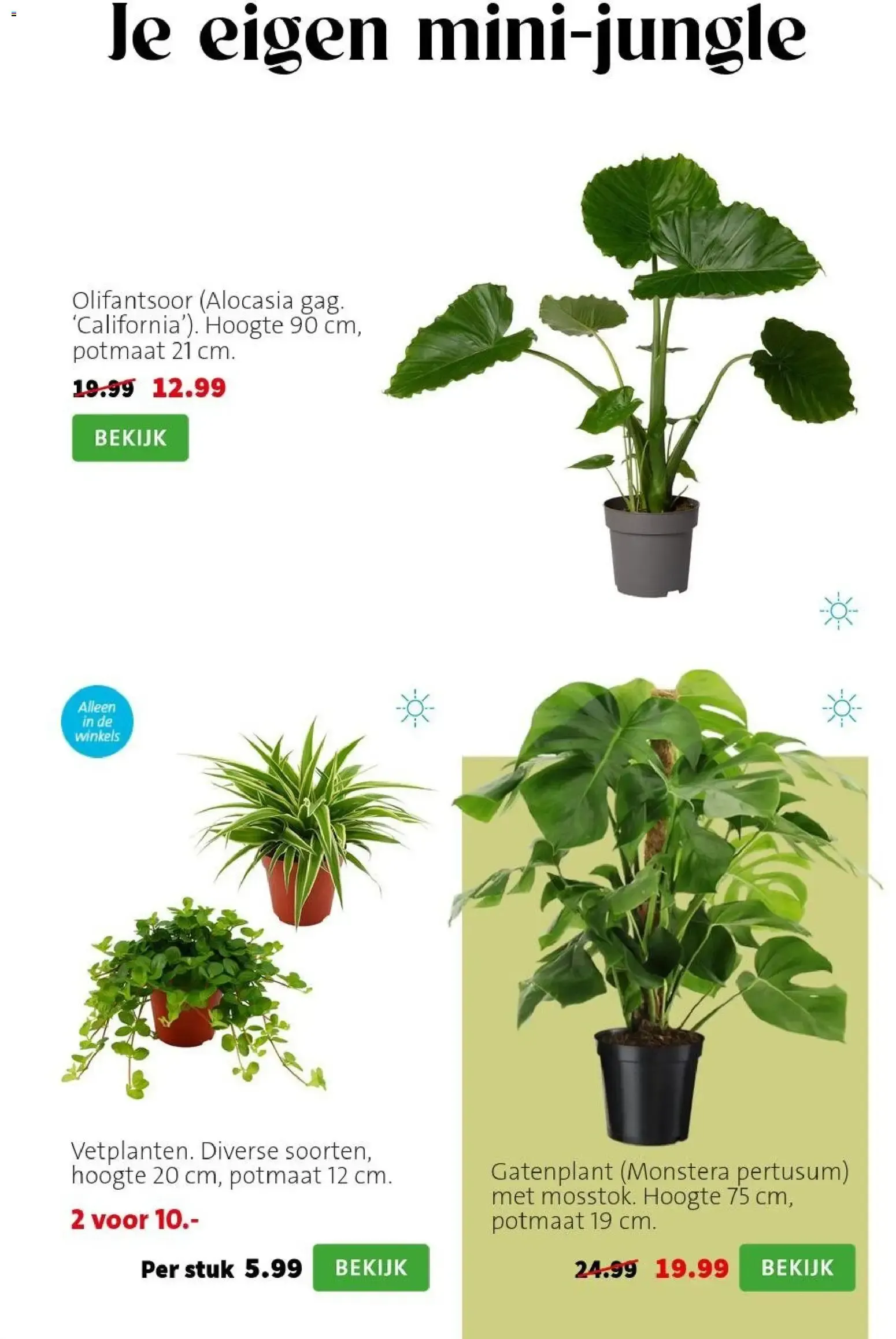 Planten-statement van 31 augustus tot 6 september 2026 - Folder pagina 2