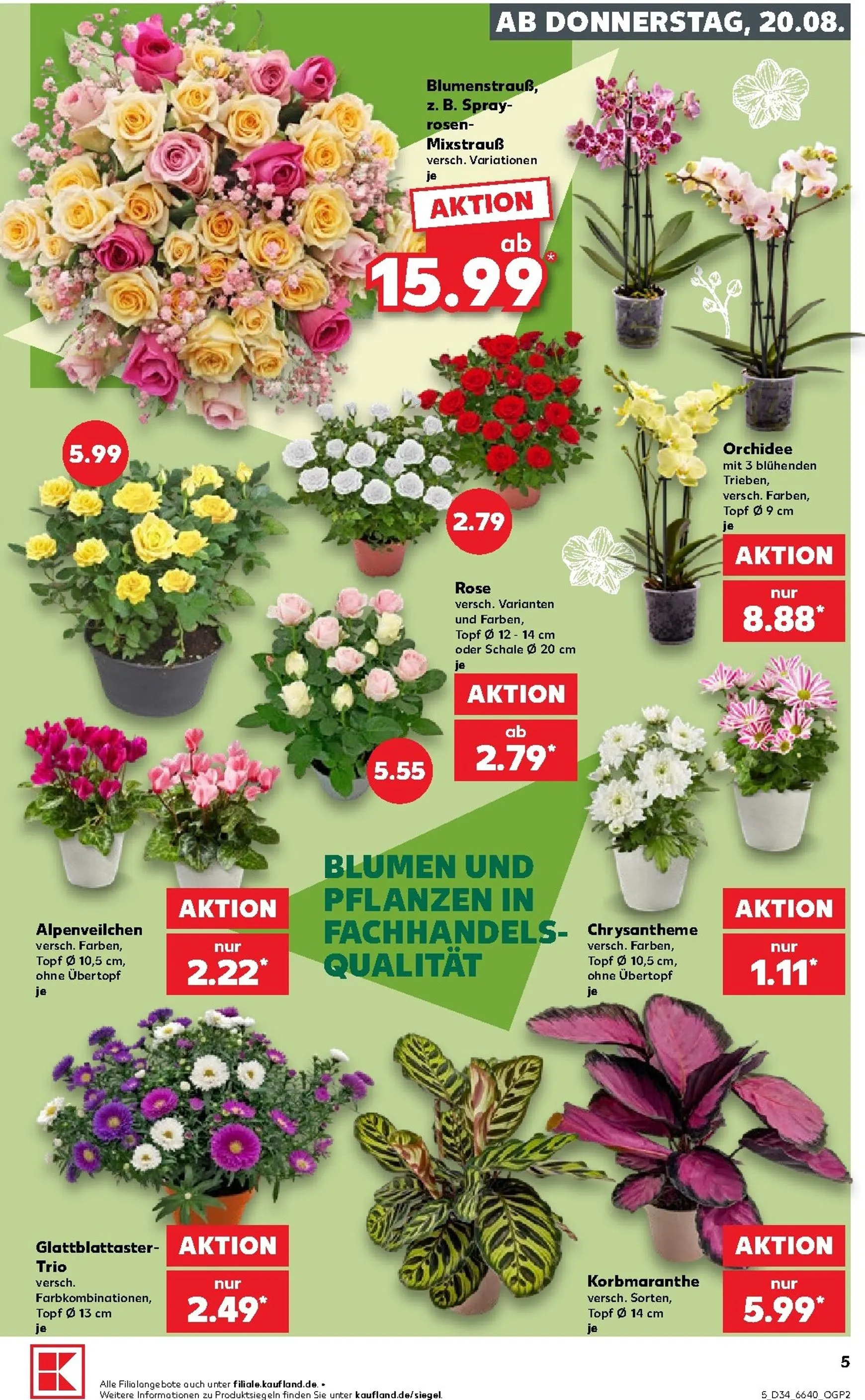 Kaufland Prospekt nächste Woche – von Donnerstag 20.08.2026 bis Mittwoch 26.08.2026 von 20. August bis 26. August 2026 - Prospekt seite 5