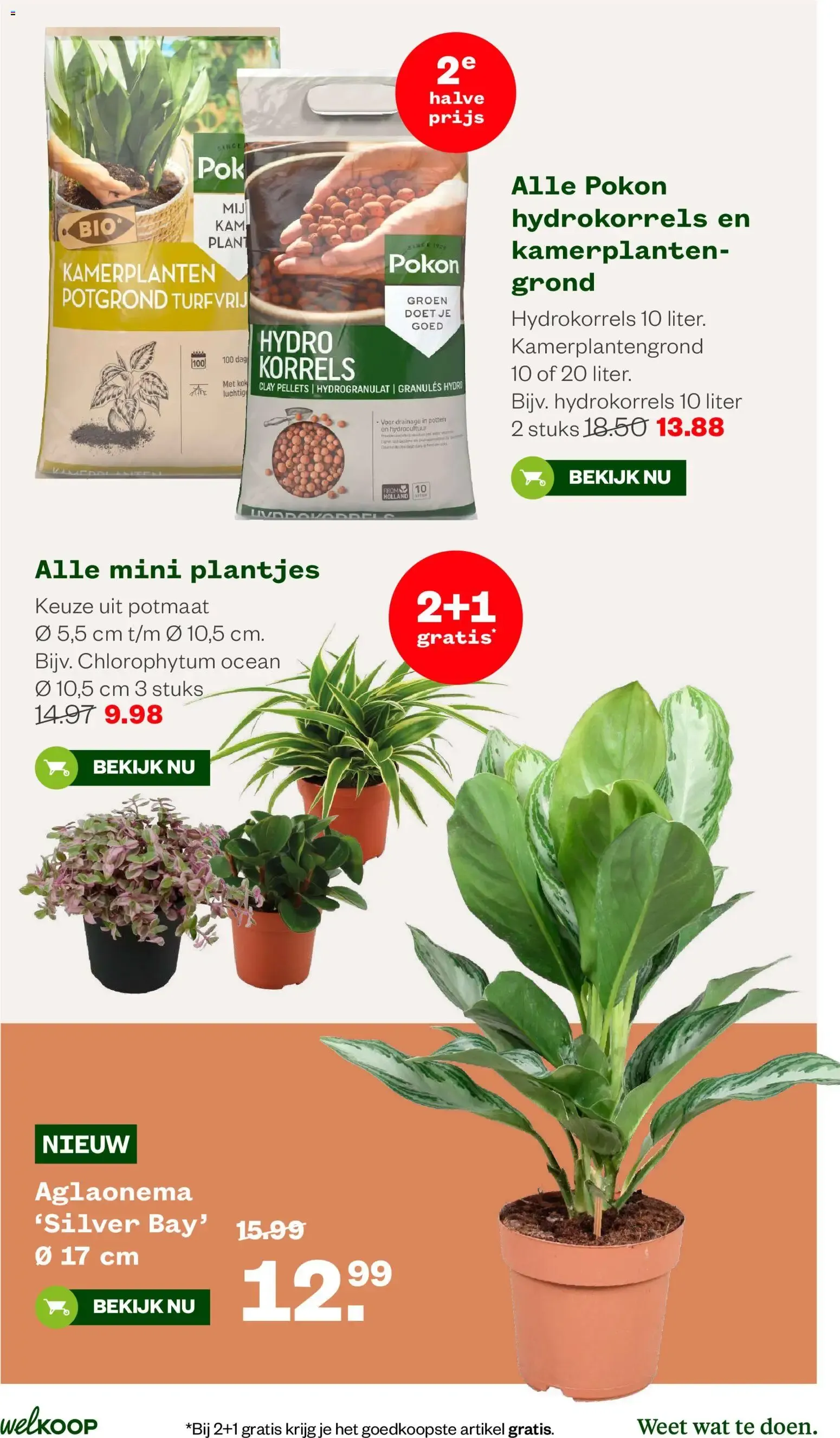 Welkoop folder vanaf 05-10-2026 || NIEUWE van 5 oktober tot 18 oktober 2026 - Folder pagina 18