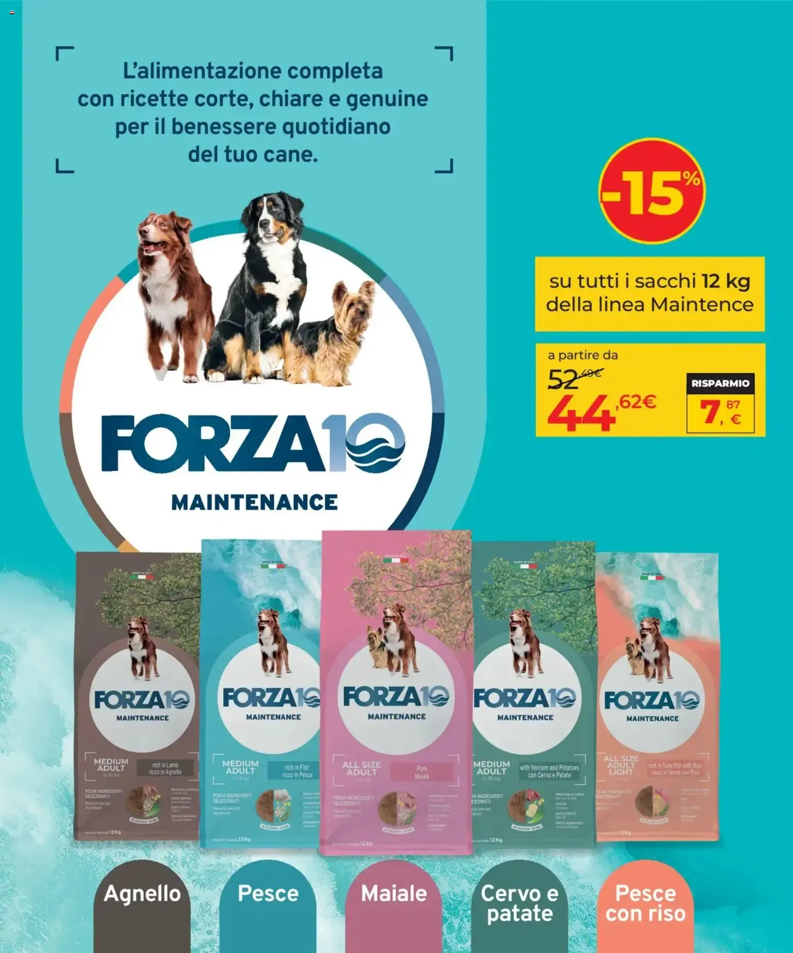 Arcaplanet volantino dal 17/09/2026 - online Offerte da 17 settembre a 30 settembre di 2026 - Pagina del volantino 13
